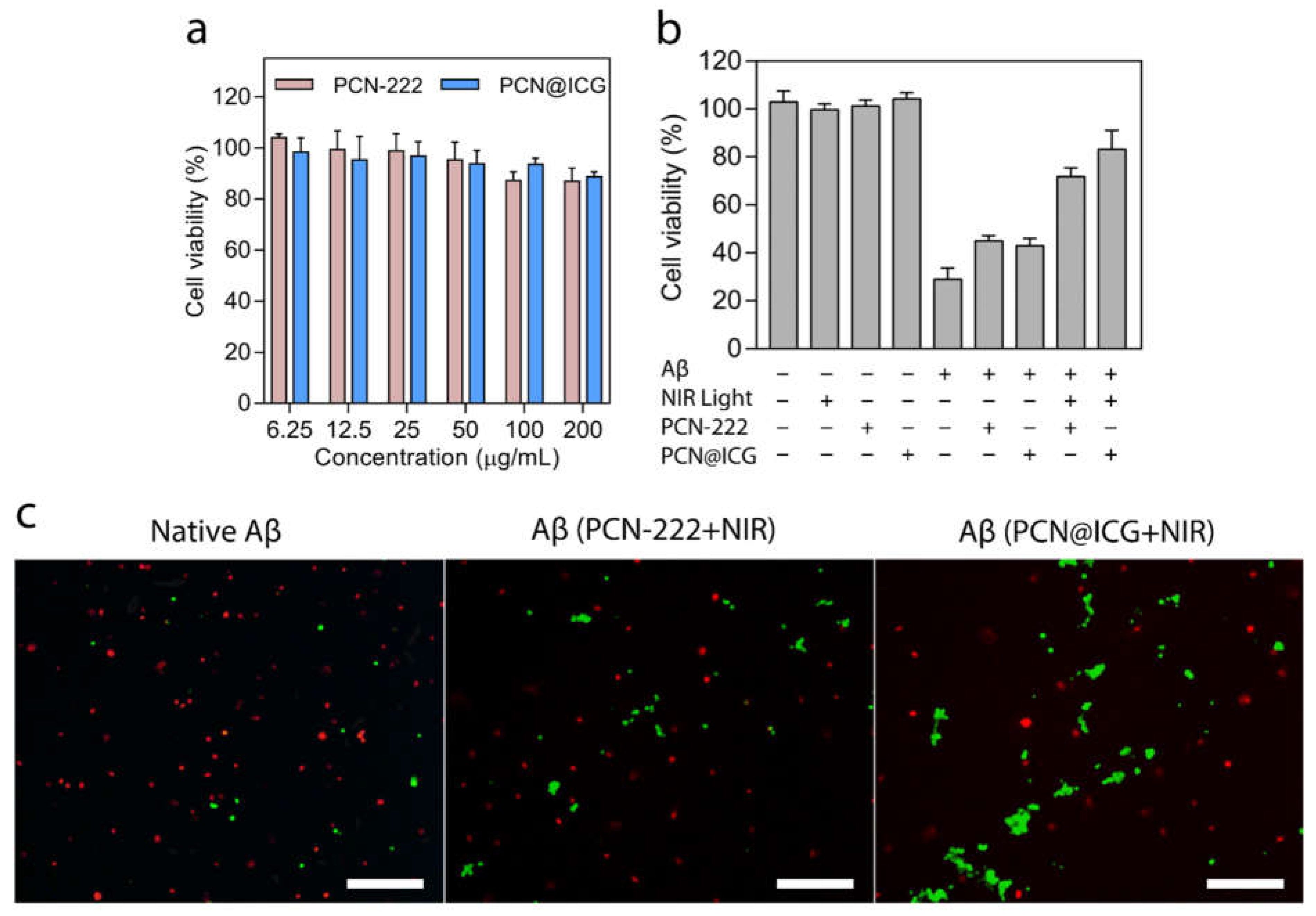 Ijms 23 10885 g006 Ijms 23 10885 g006