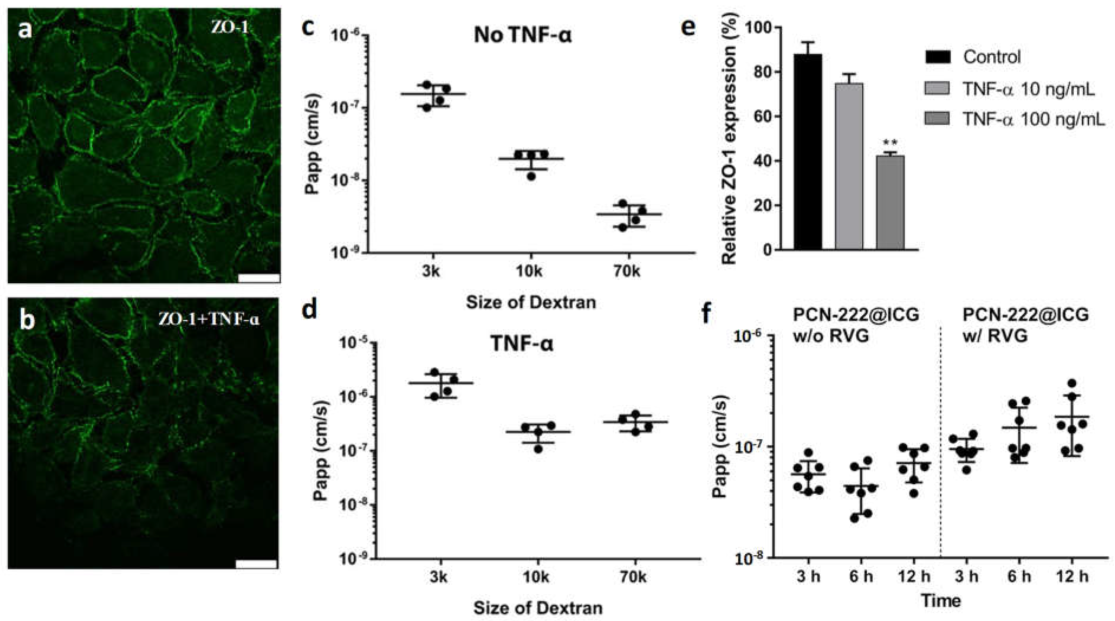 Ijms 23 10885 g008 Ijms 23 10885 g008