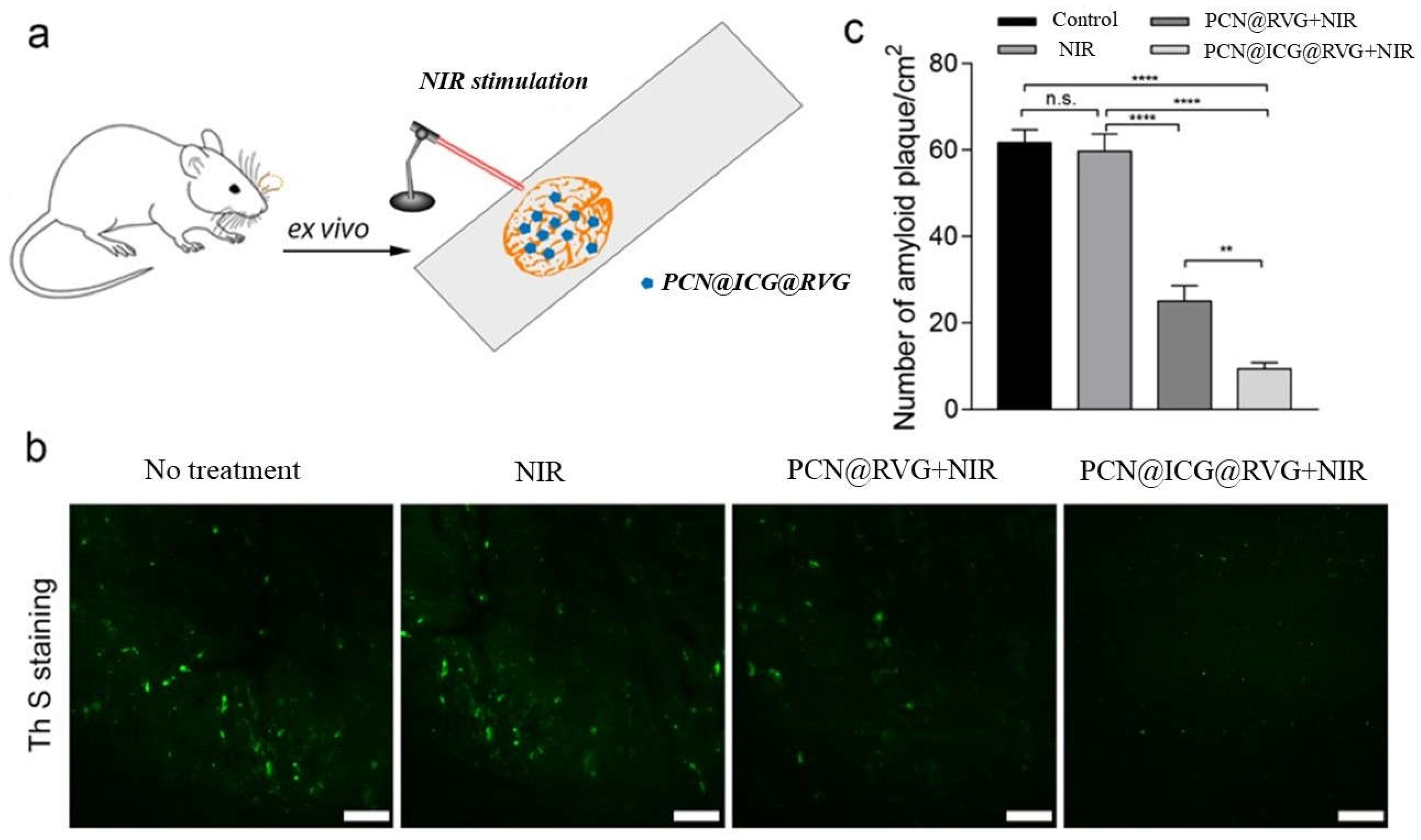 Ijms 23 10885 g009 Ijms 23 10885 g009