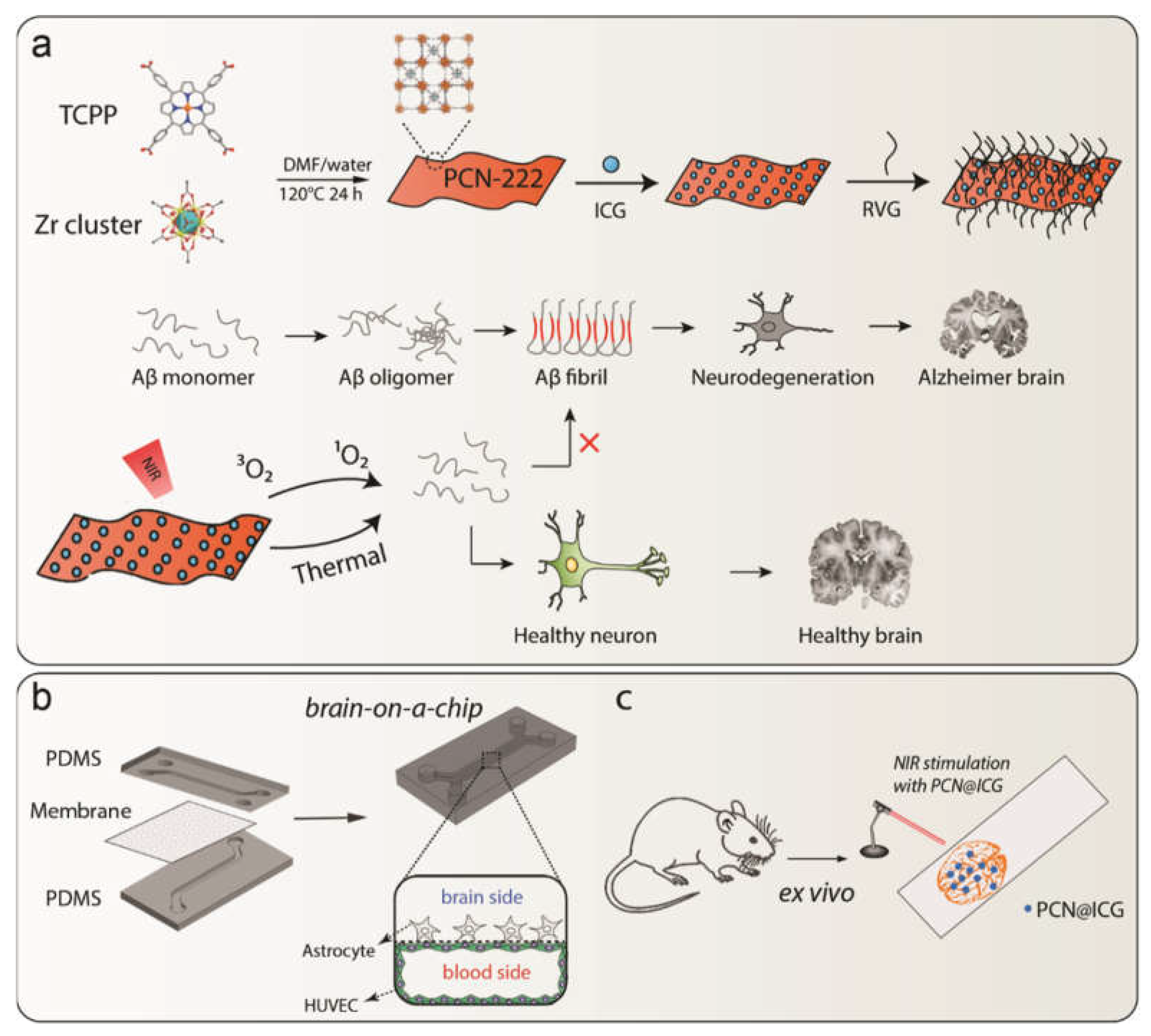 Ijms 23 10885 sch001 Ijms 23 10885 sch001
