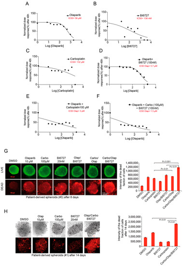 IJMS | Free Full-Text | Sequential Targeting of PLK1 and PARP1 Reverses the  Resistance to PARP Inhibitors and Enhances Platin-Based Chemotherapy in  BRCA-Deficient High-Grade Serous Ovarian Cancer with KRAS Amplification