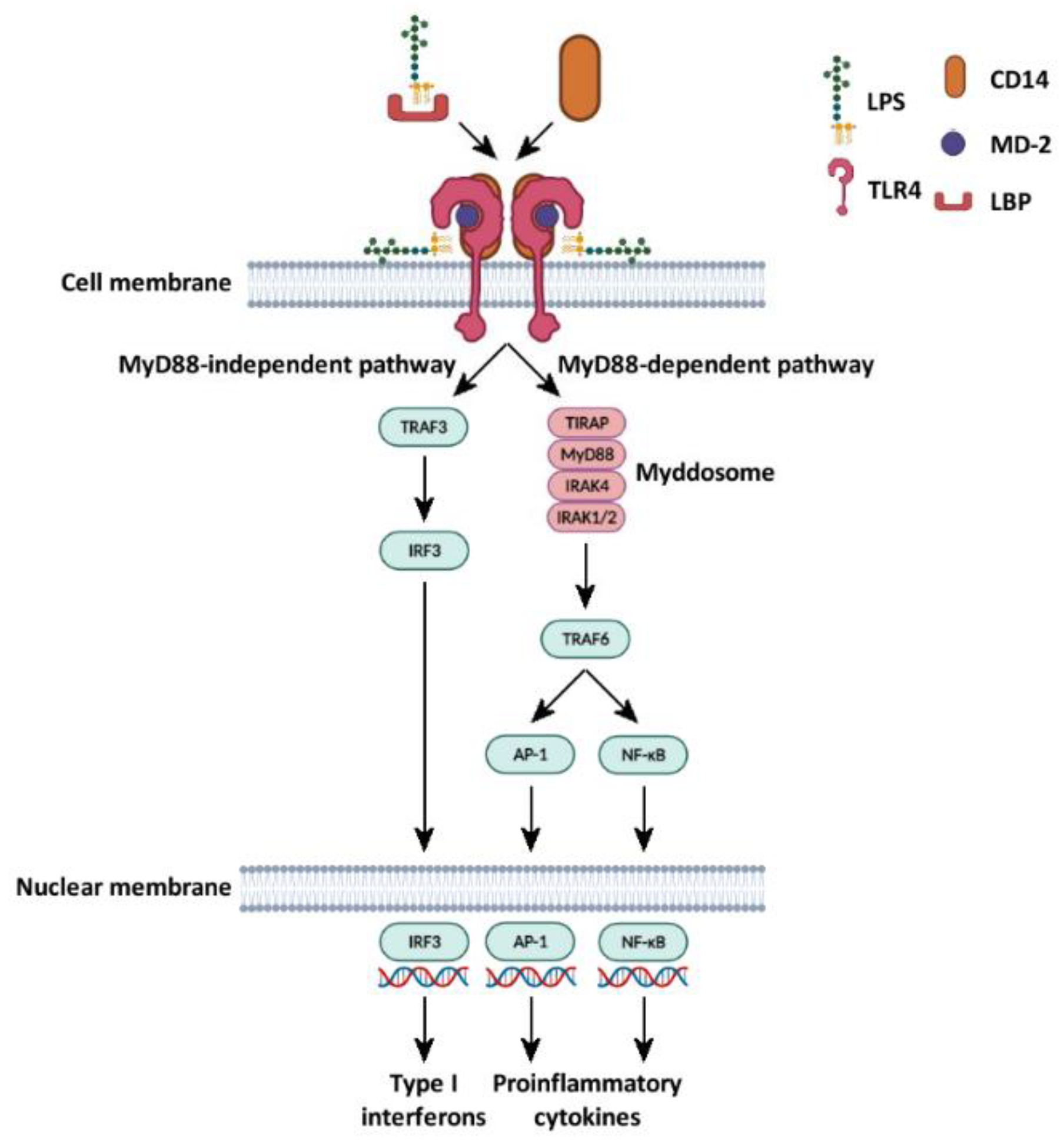 Ijms 23 10900 g002 Ijms 23 10900 g002