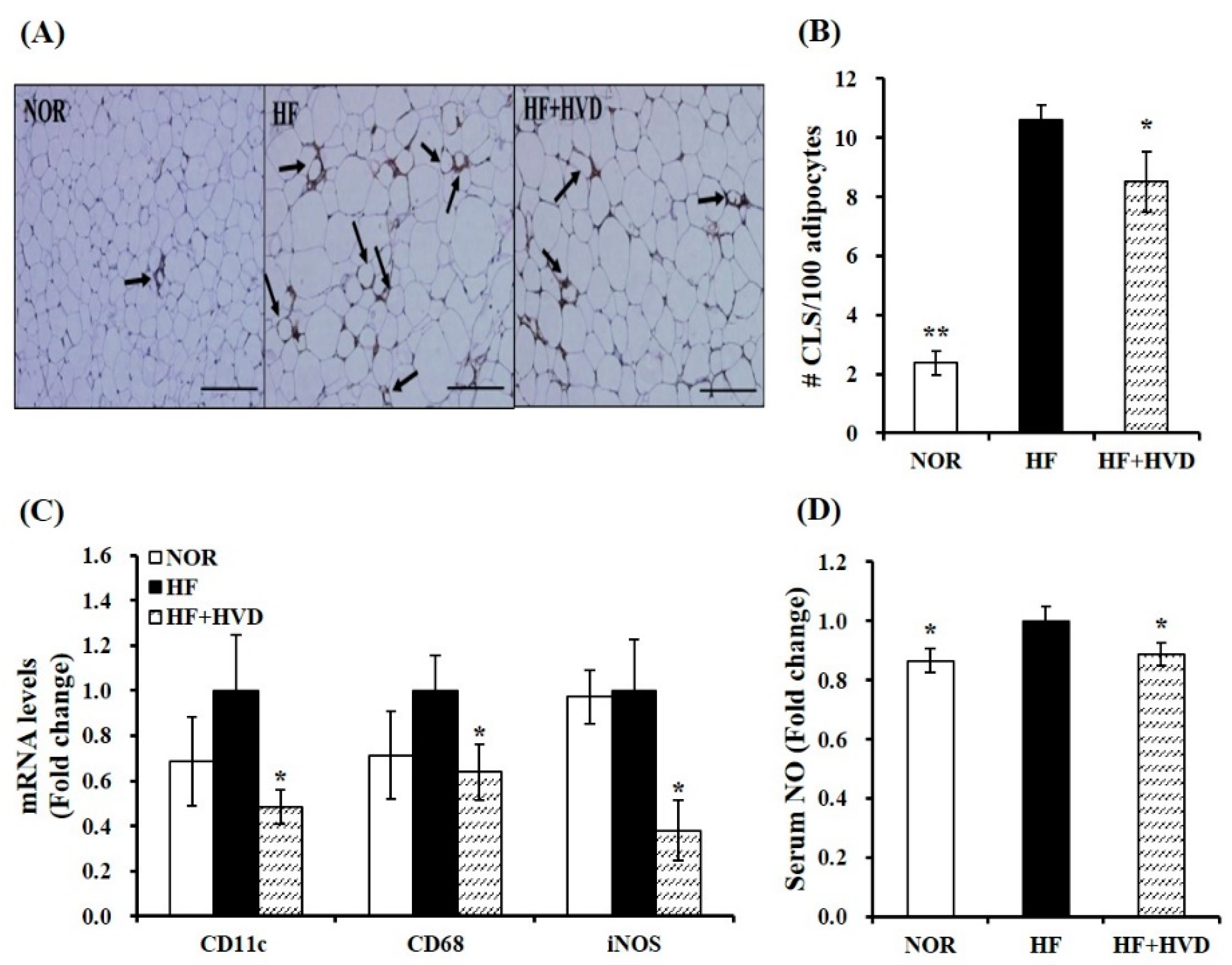 Ijms 23 10915 g004 Ijms 23 10915 g004