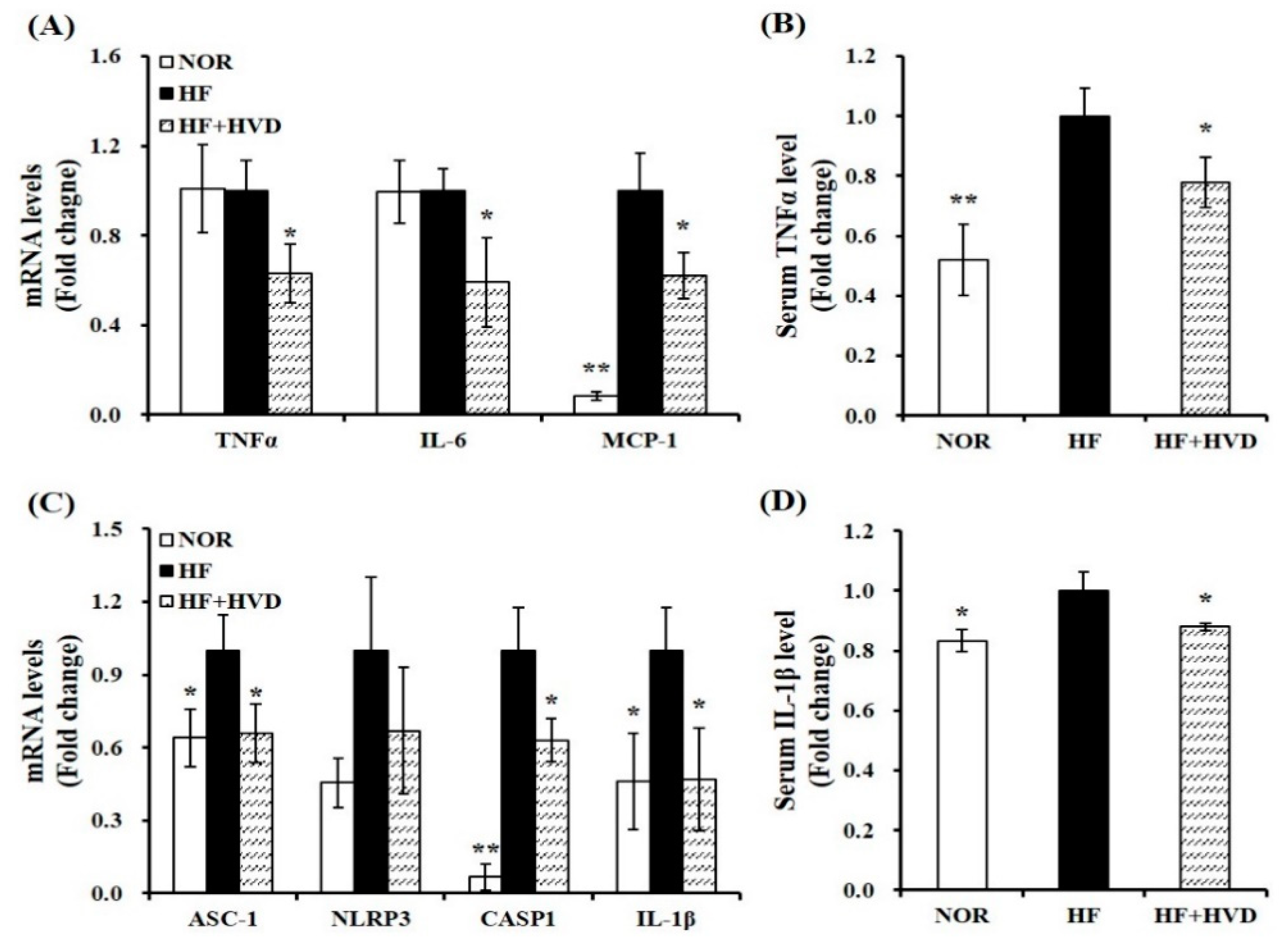 Ijms 23 10915 g005 Ijms 23 10915 g005