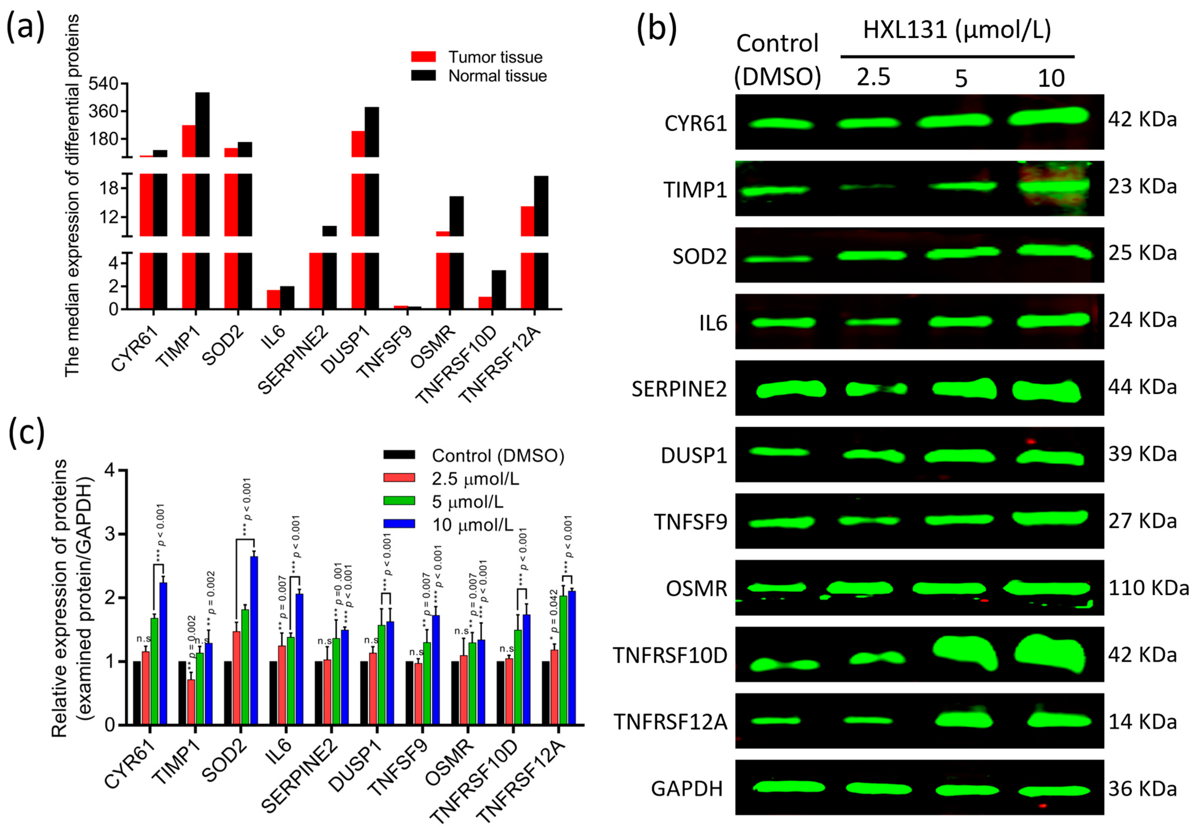 Ijms 23 10916 g006 Ijms 23 10916 g006