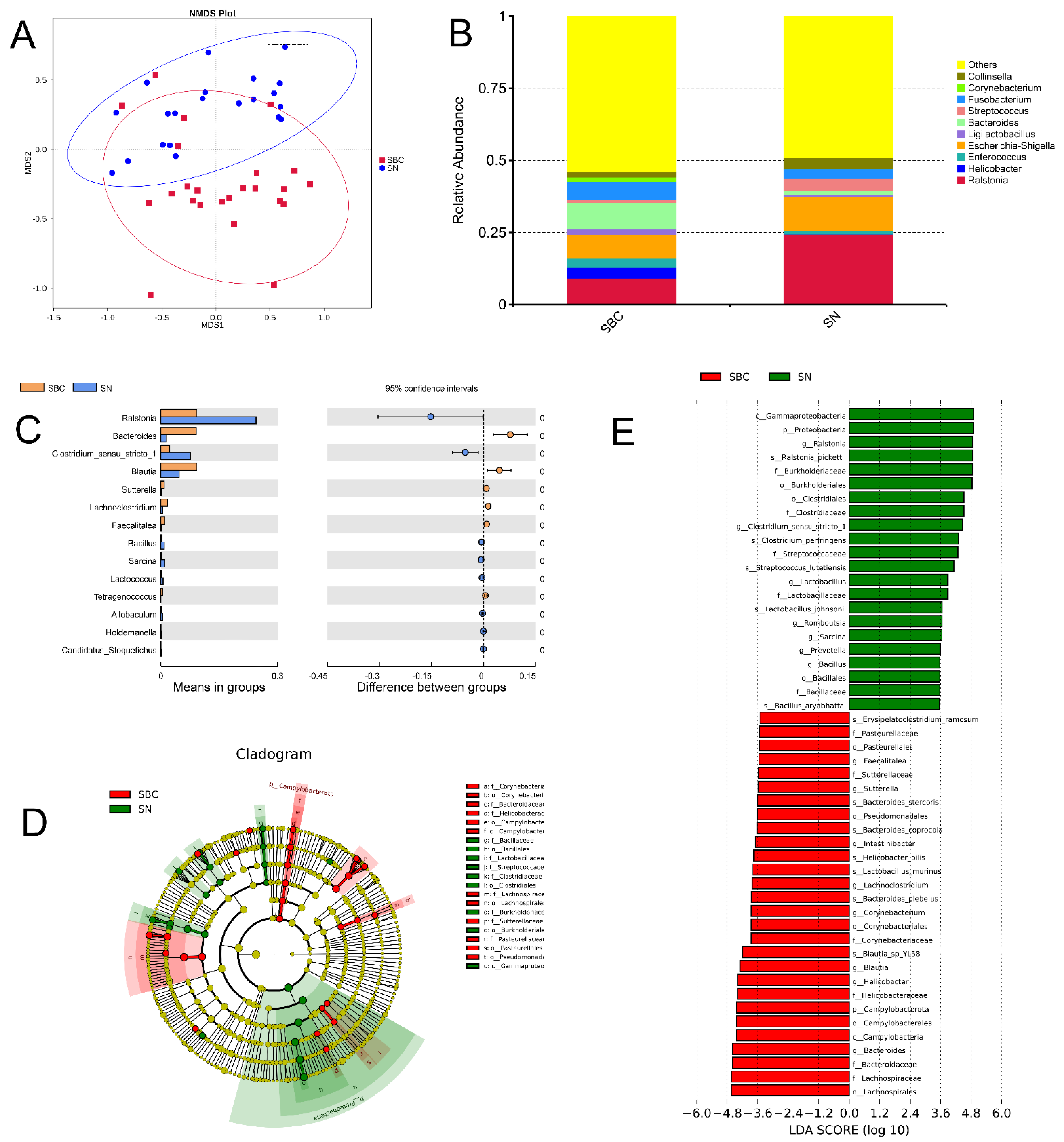 Ijms 23 10928 g004 Ijms 23 10928 g004