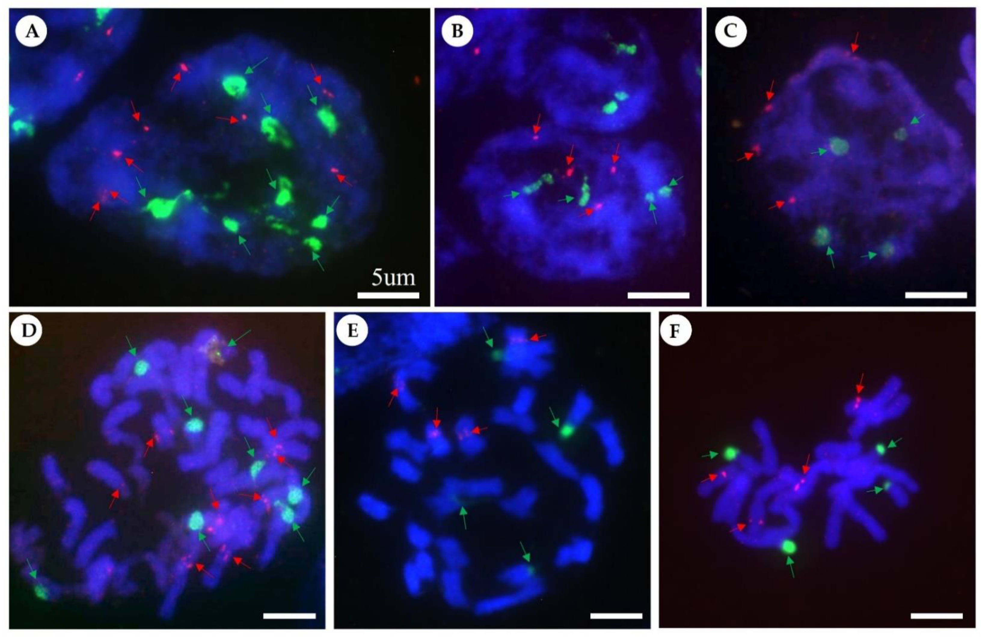 Ijms 23 10929 g002 Ijms 23 10929 g002