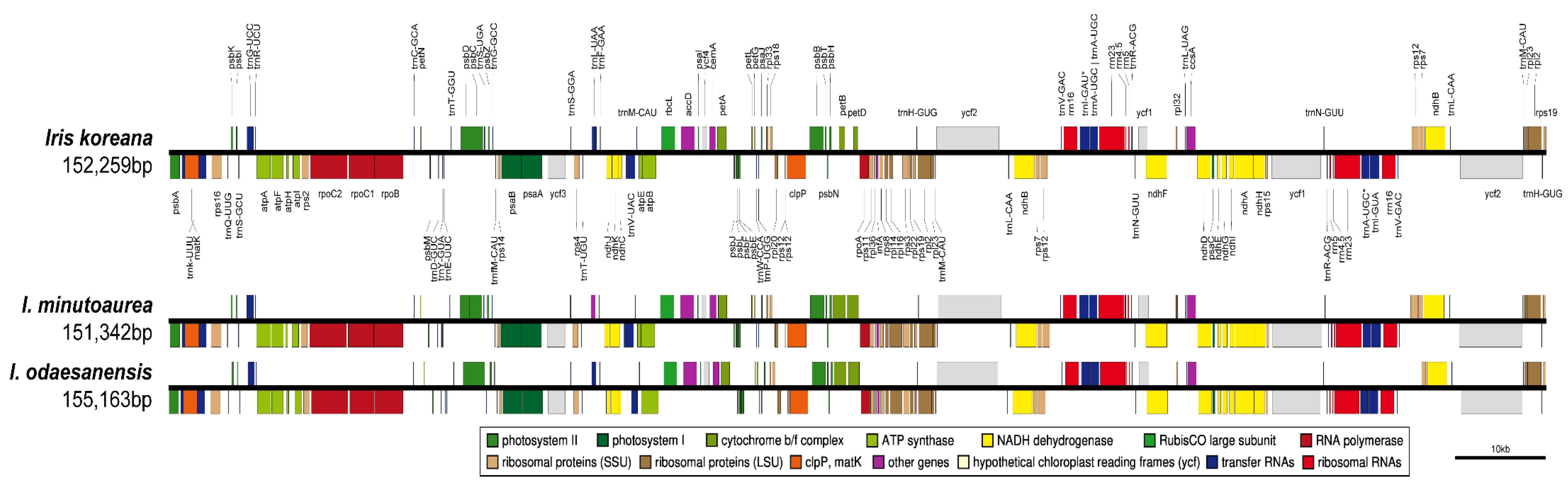 Ijms 23 10929 g003 Ijms 23 10929 g003