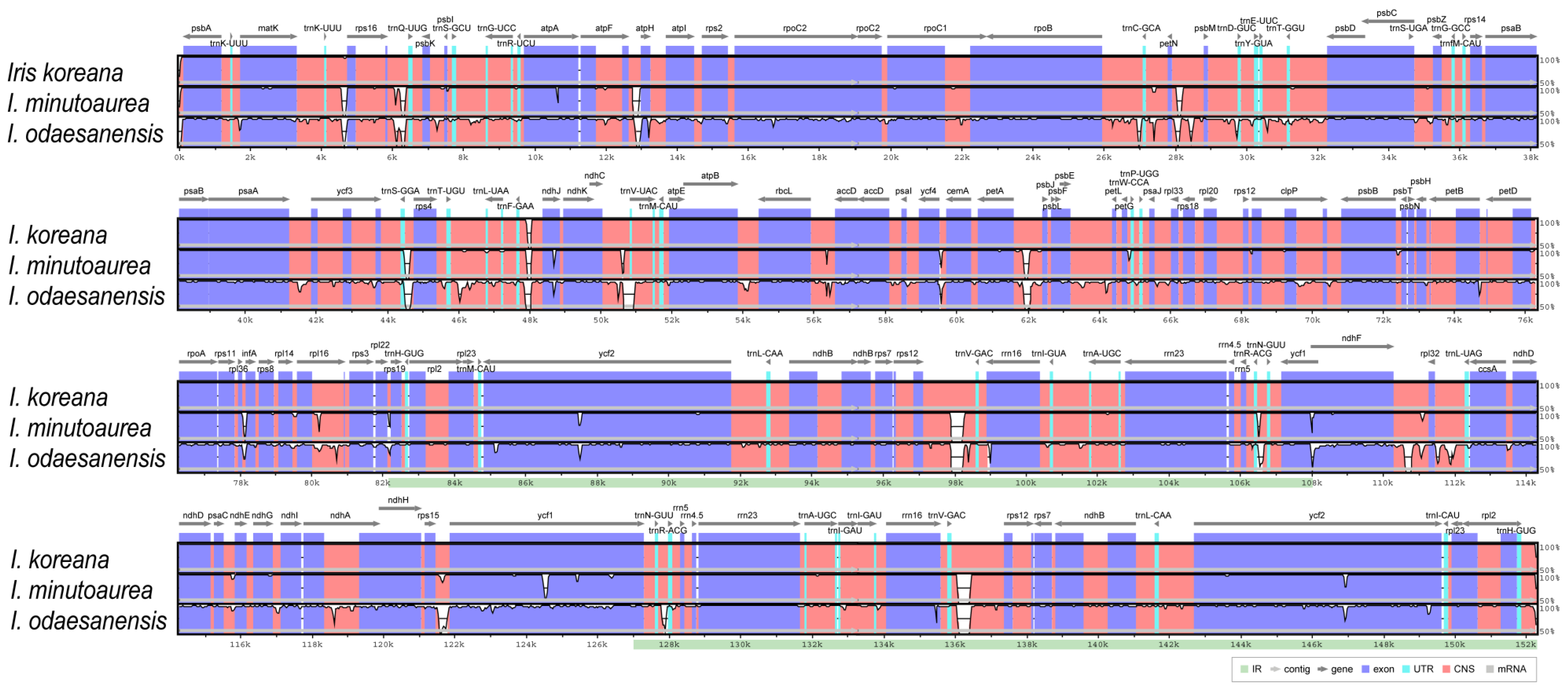 Ijms 23 10929 g005 Ijms 23 10929 g005