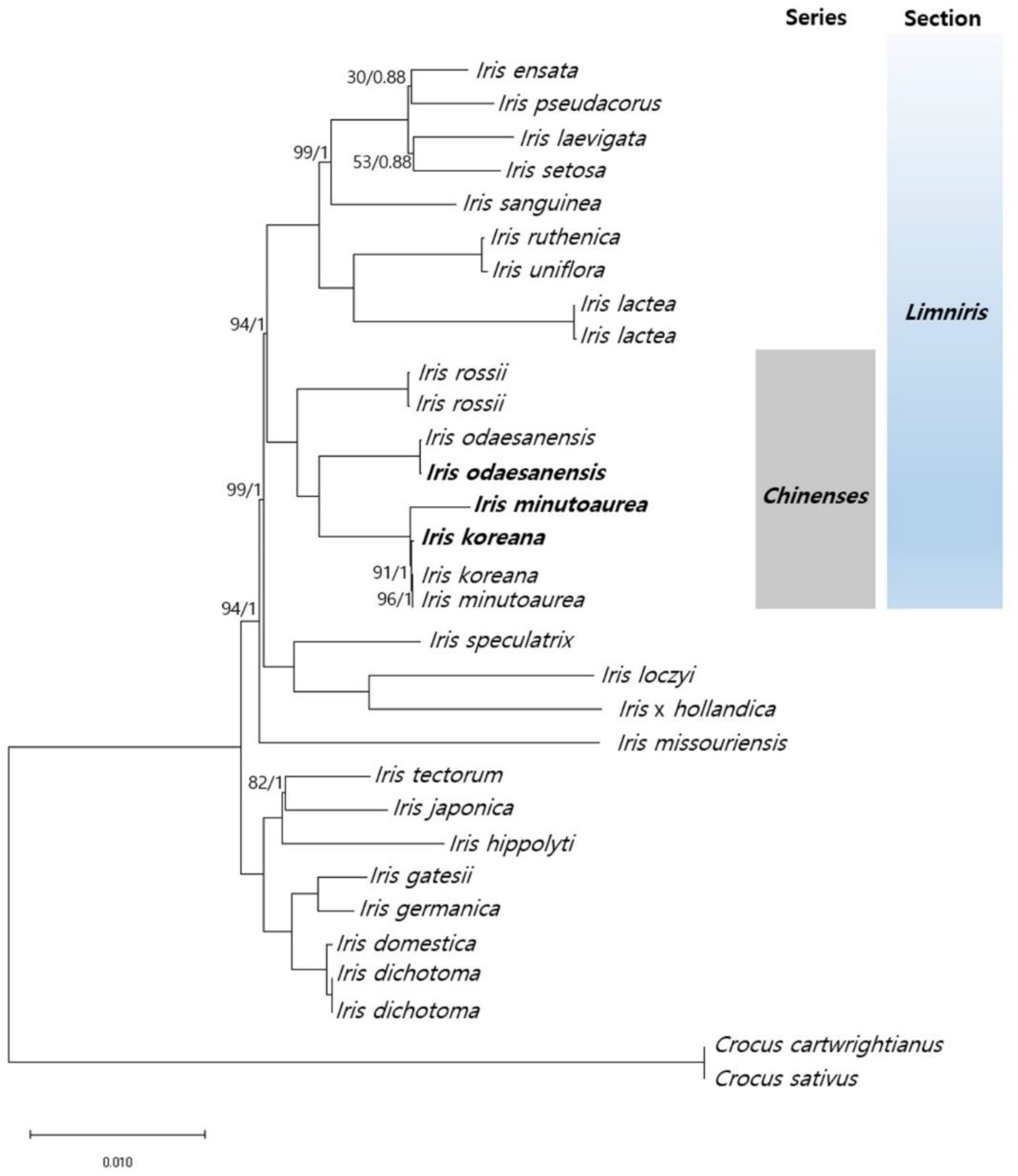 Ijms 23 10929 g007 Ijms 23 10929 g007