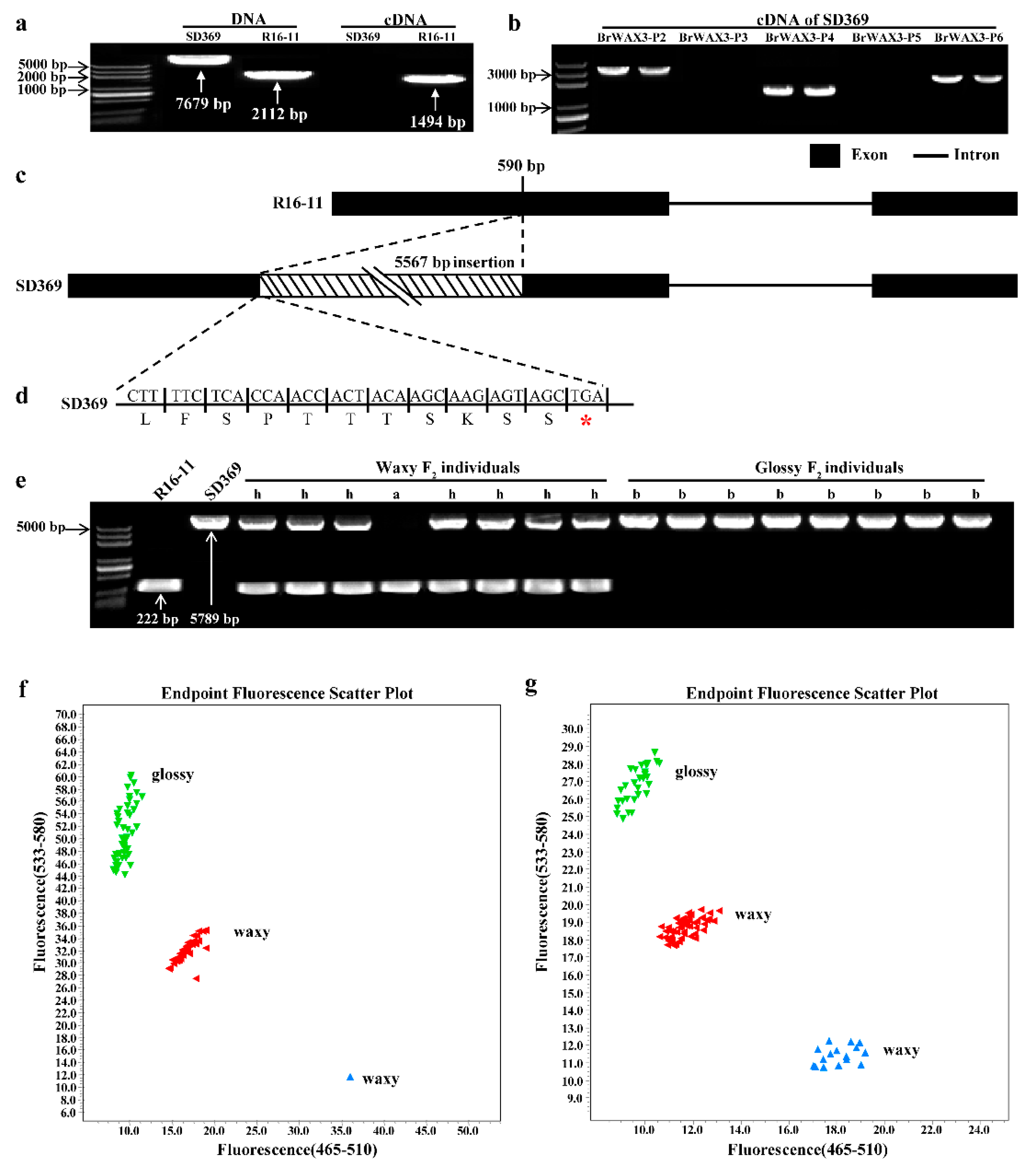 Ijms 23 10938 g004 Ijms 23 10938 g004