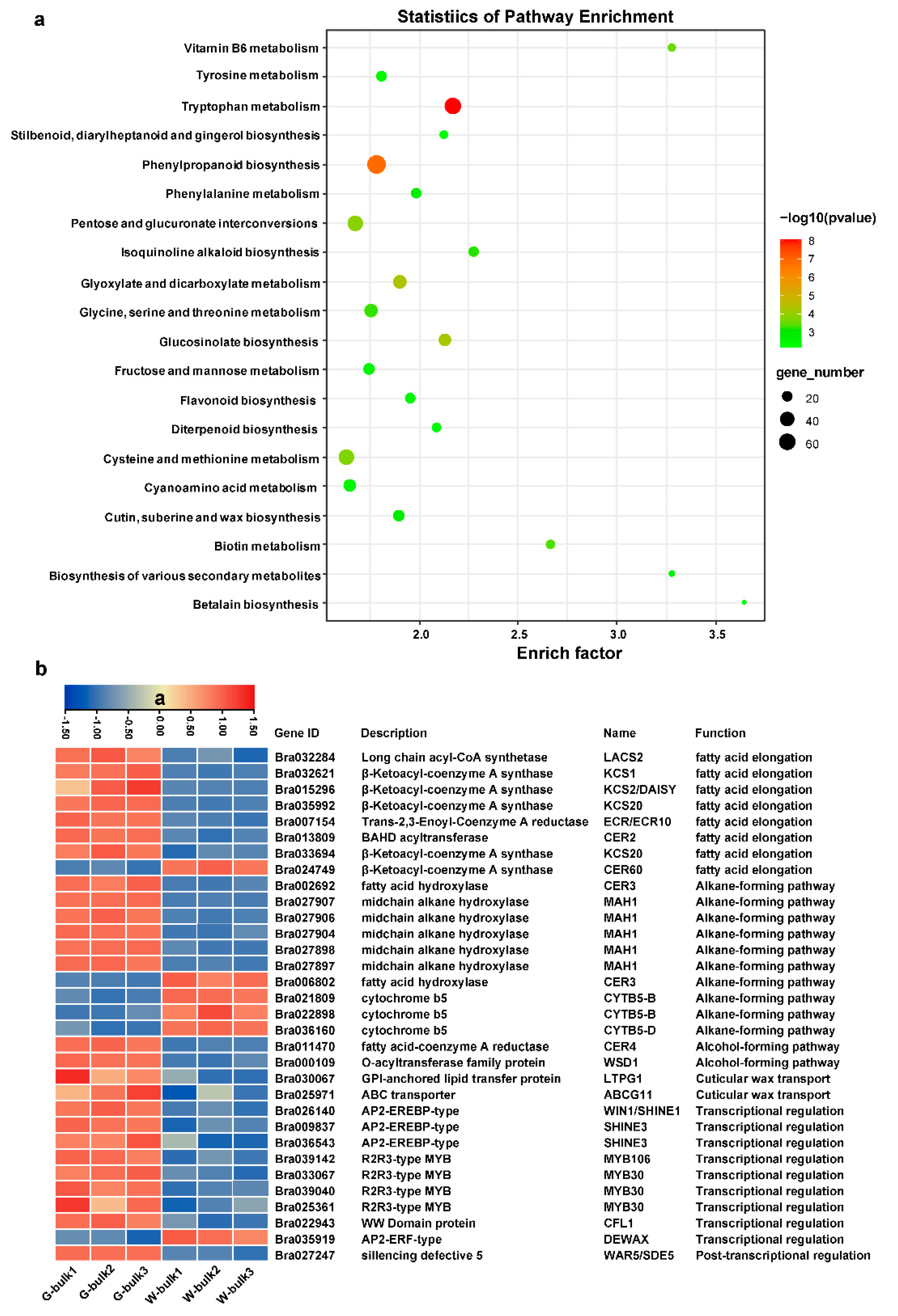 Ijms 23 10938 g007 Ijms 23 10938 g007