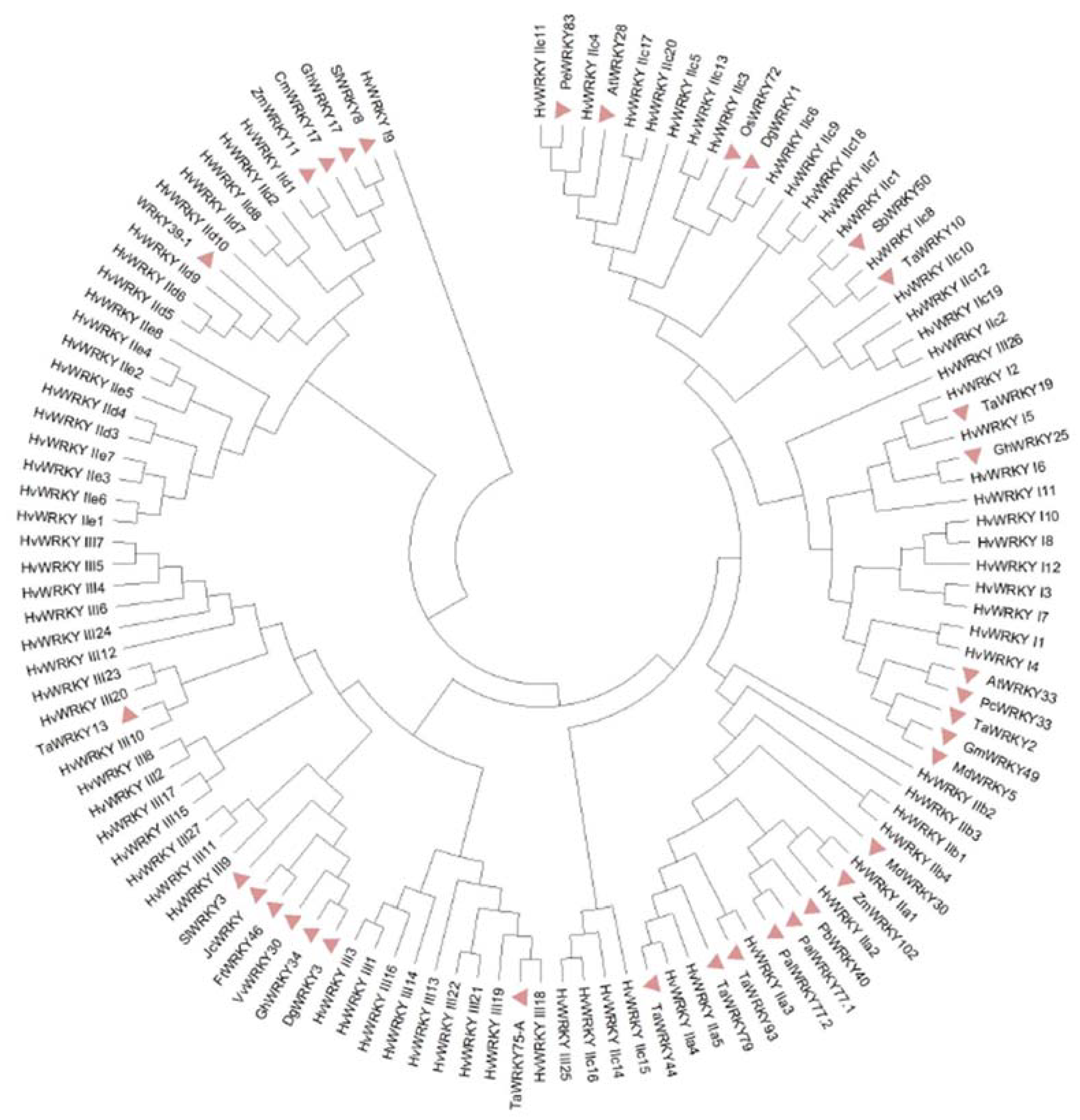 Ijms 23 10947 g005 Ijms 23 10947 g005