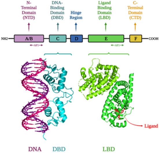 IJMS | Free Full-Text | Demystifying the Functional Role of