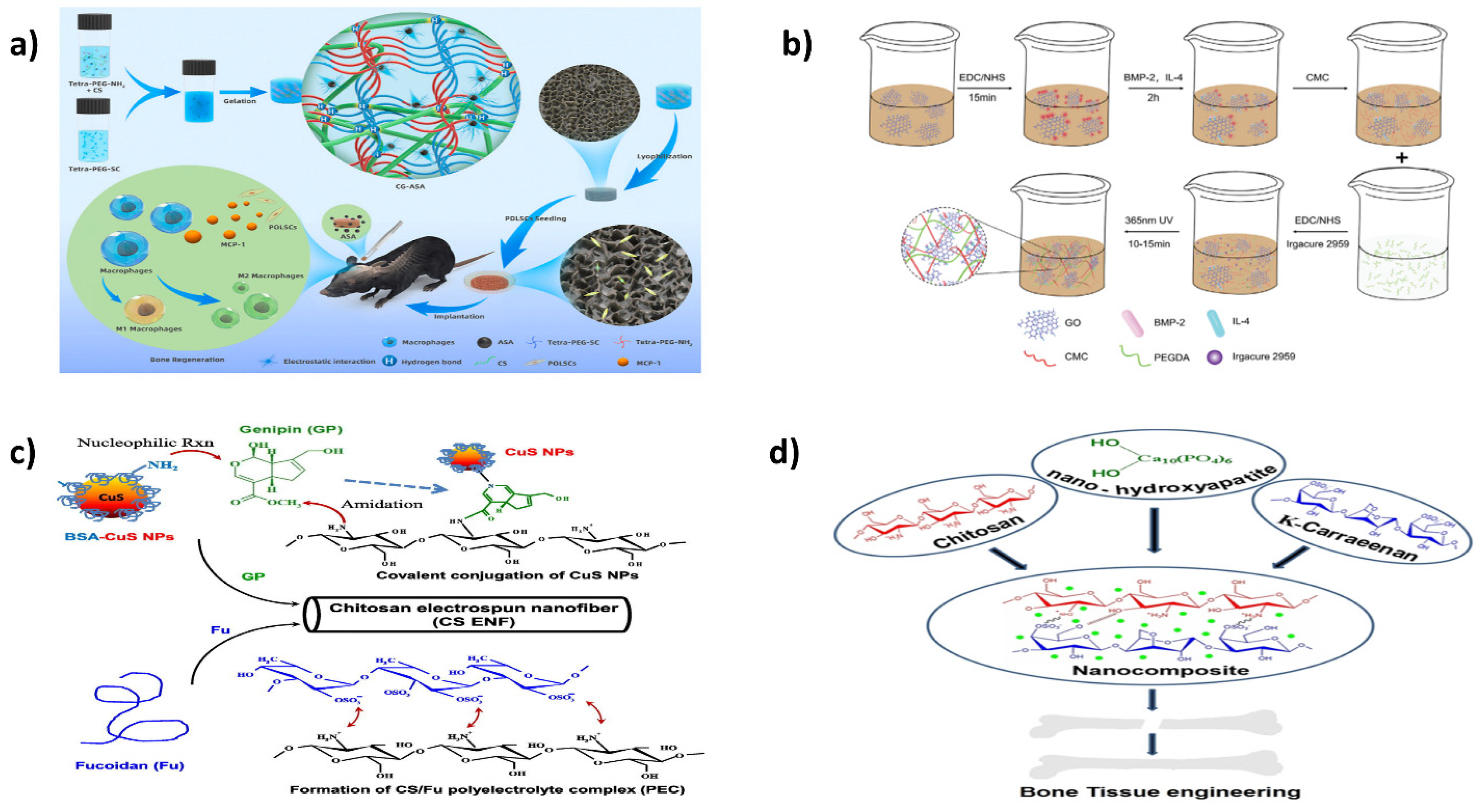 IJMS | Free Full-Text | Recent Advances of Chitosan Formulations in  Biomedical Applications