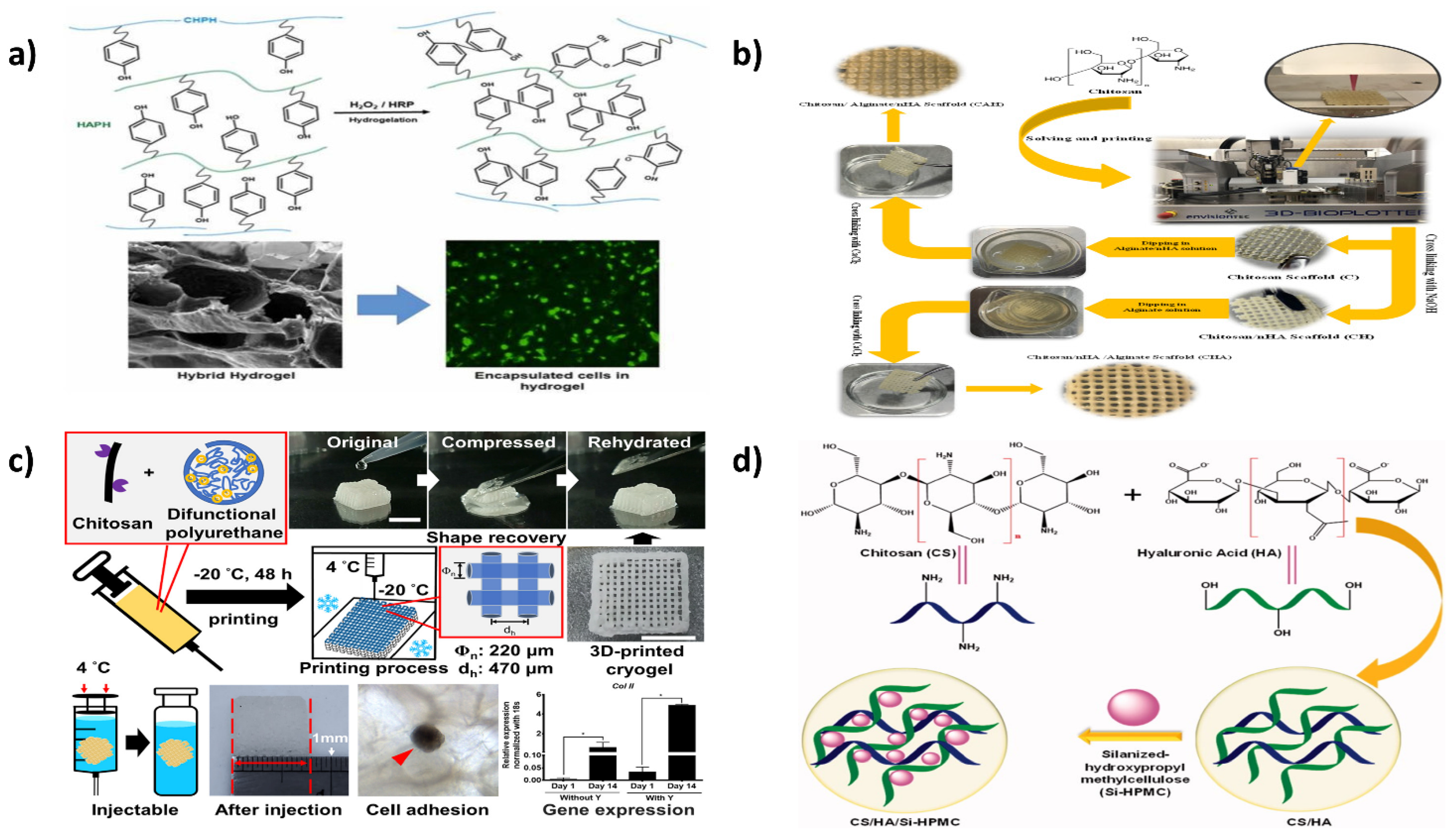 Ijms 23 10975 g005 Ijms 23 10975 g005