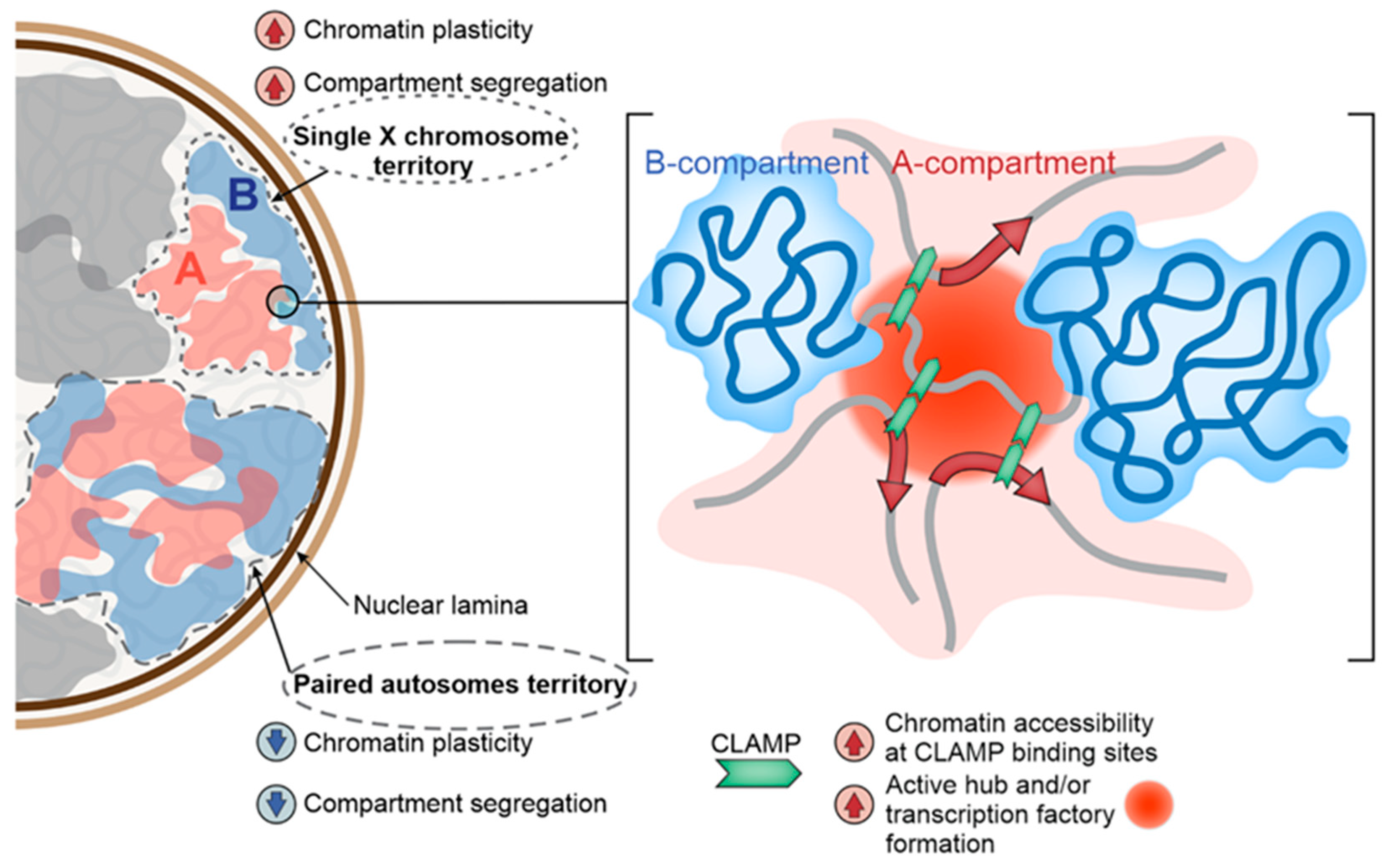 Ijms 23 10976 g002 Ijms 23 10976 g002