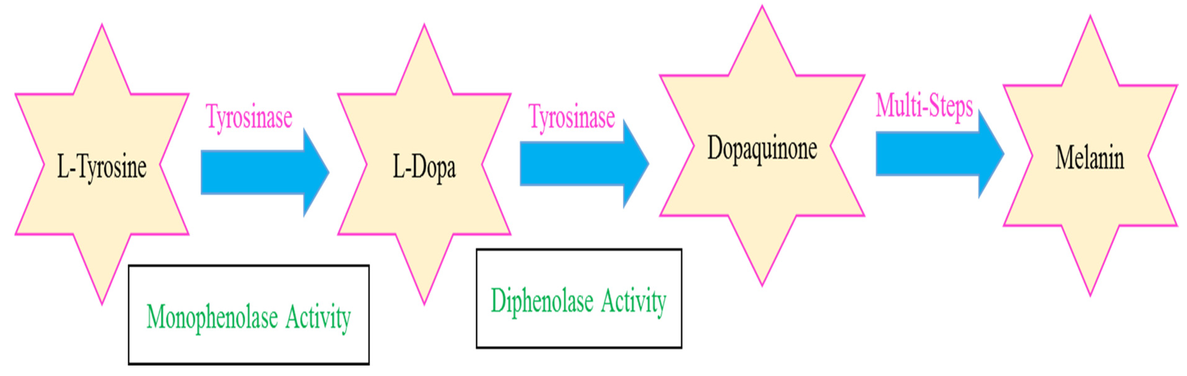 Ijms 23 10979 g001 Ijms 23 10979 g001