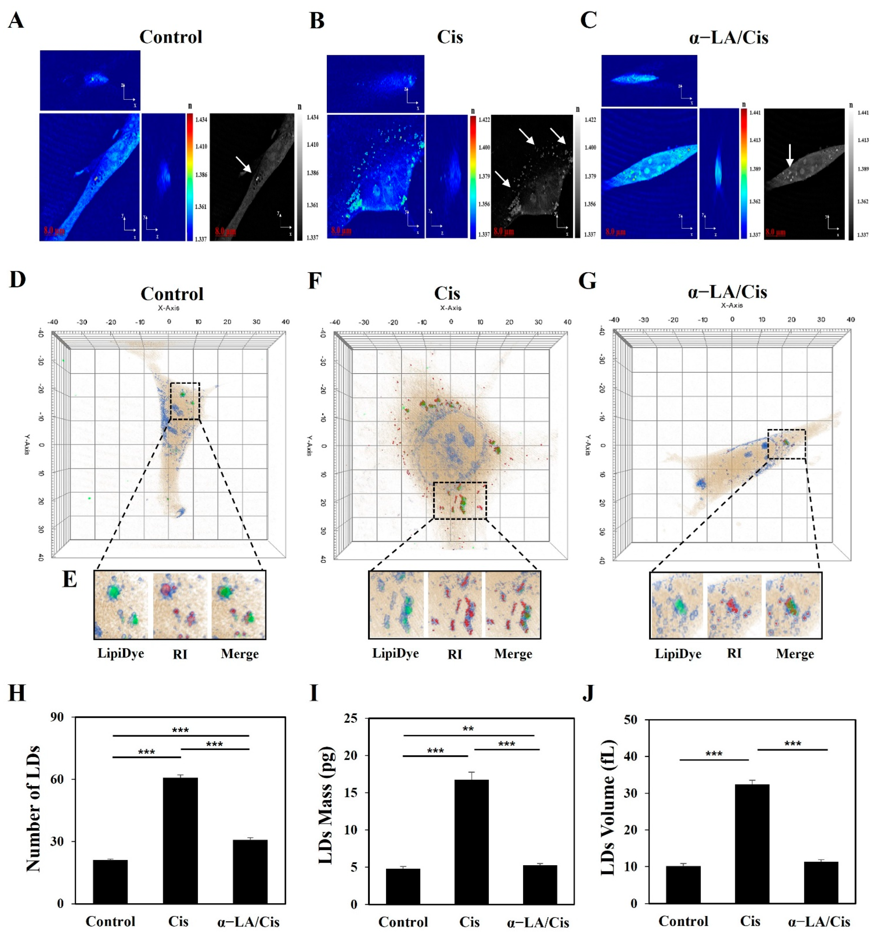 Ijms 23 10981 g002 Ijms 23 10981 g002
