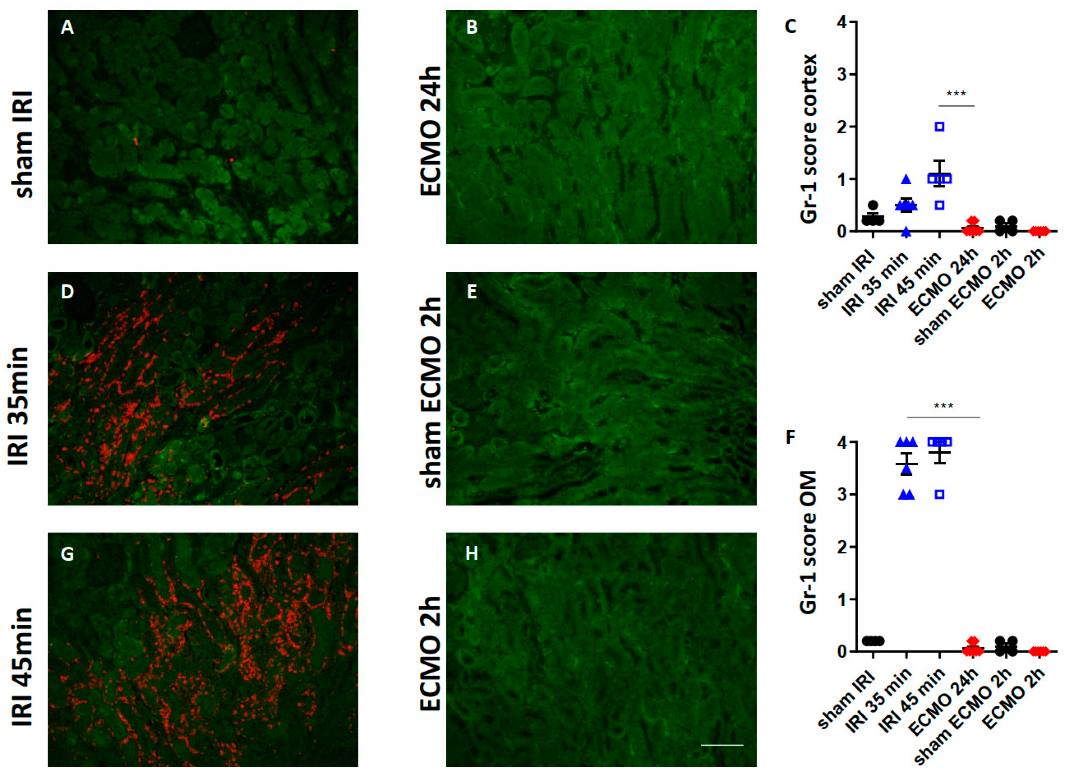 Ijms 23 11000 g002 Ijms 23 11000 g002