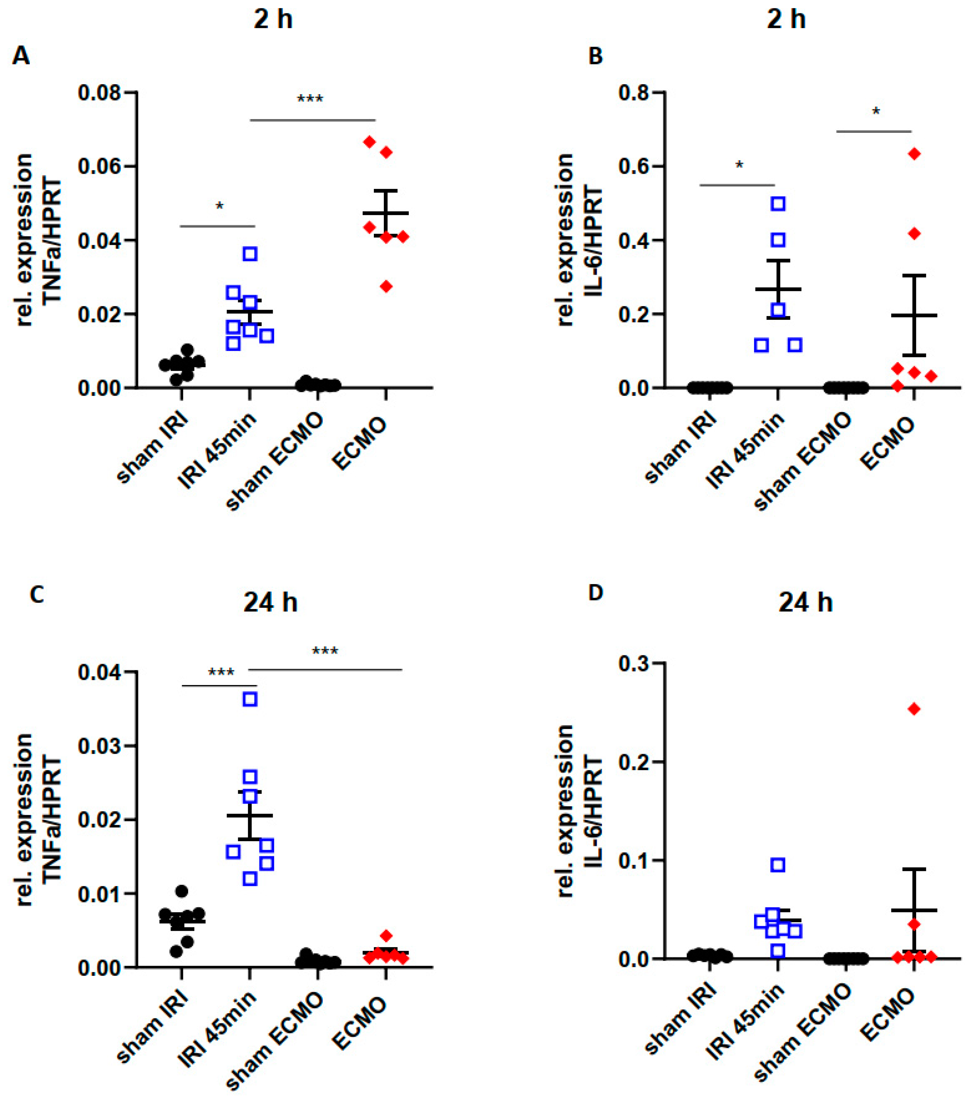 Ijms 23 11000 g004 Ijms 23 11000 g004