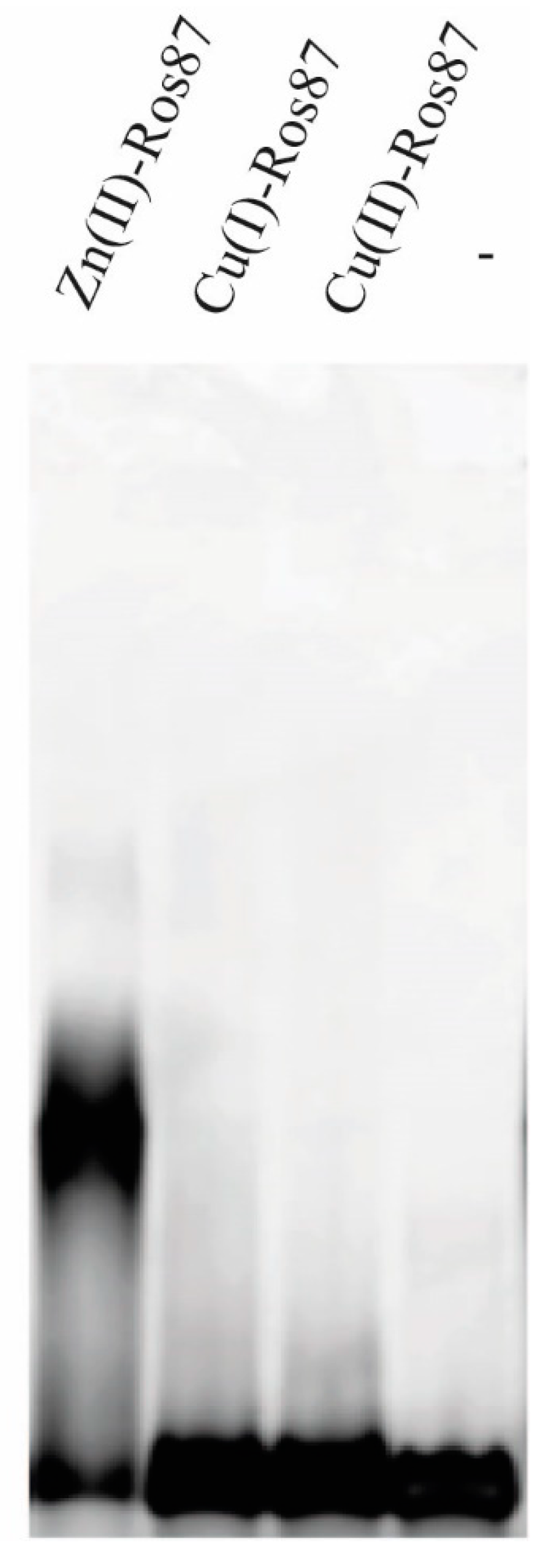 Ijms 23 11010 g007 Ijms 23 11010 g007