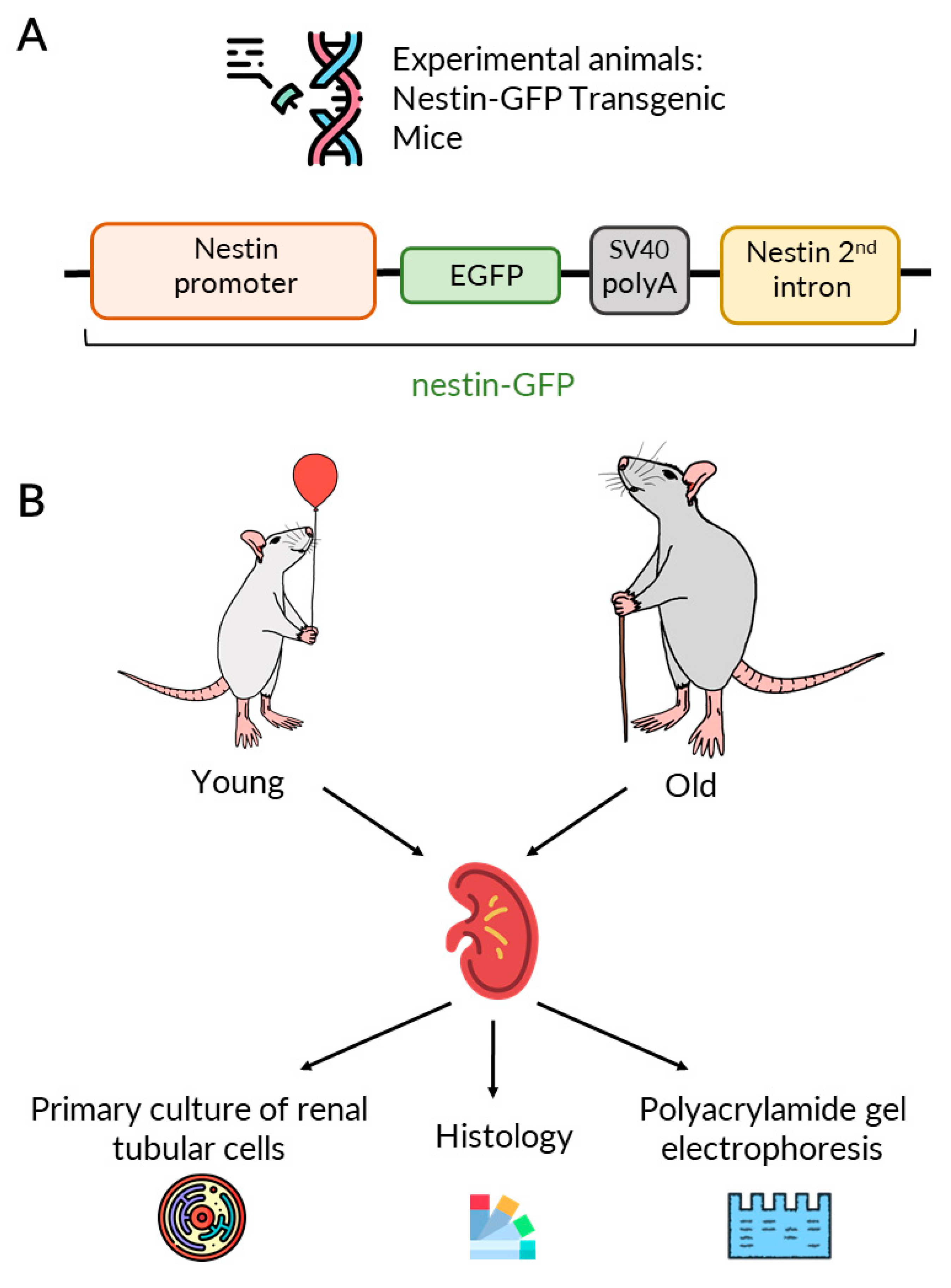 Ijms 23 11015 g001 Ijms 23 11015 g001