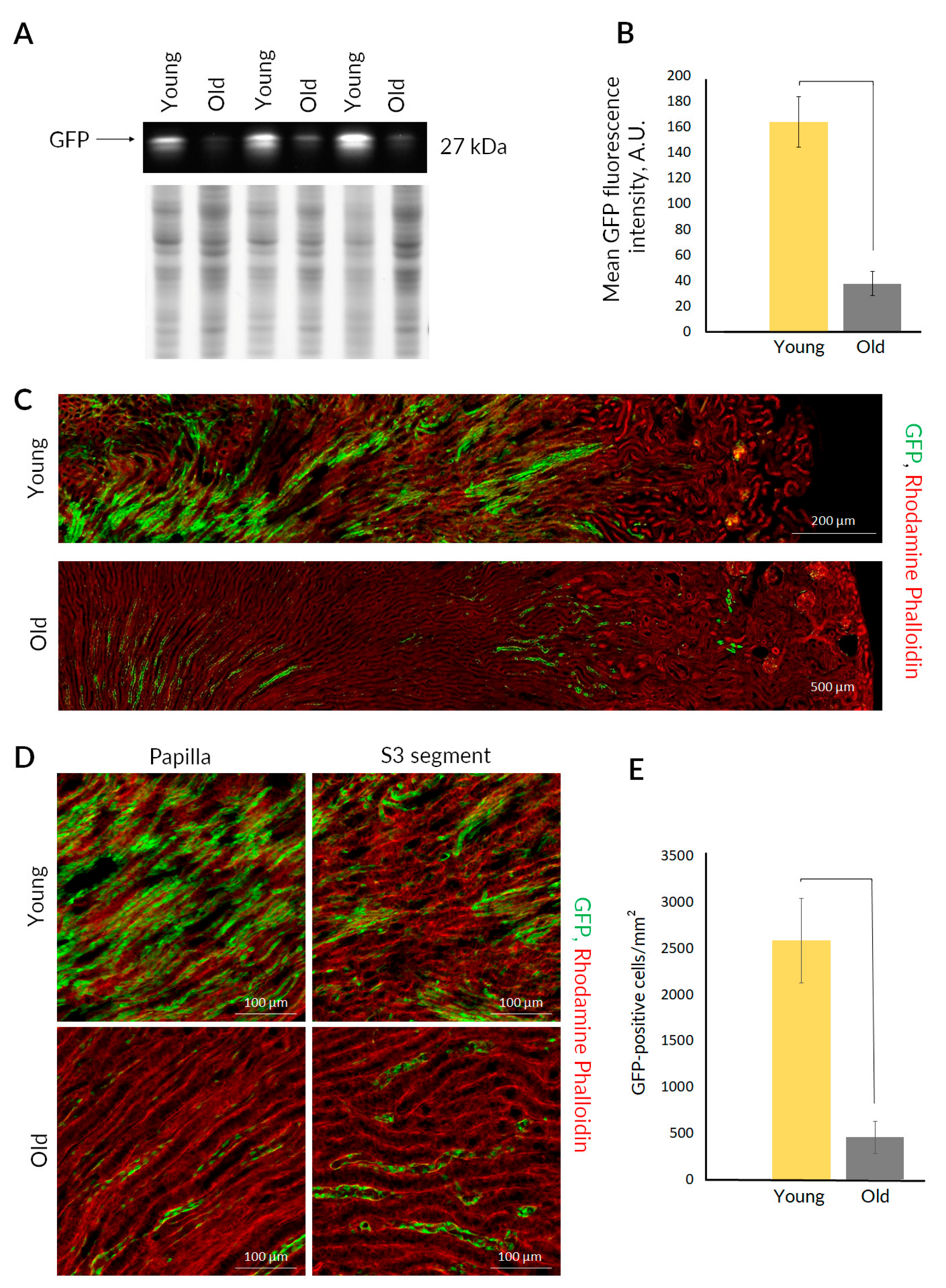 Ijms 23 11015 g002 Ijms 23 11015 g002