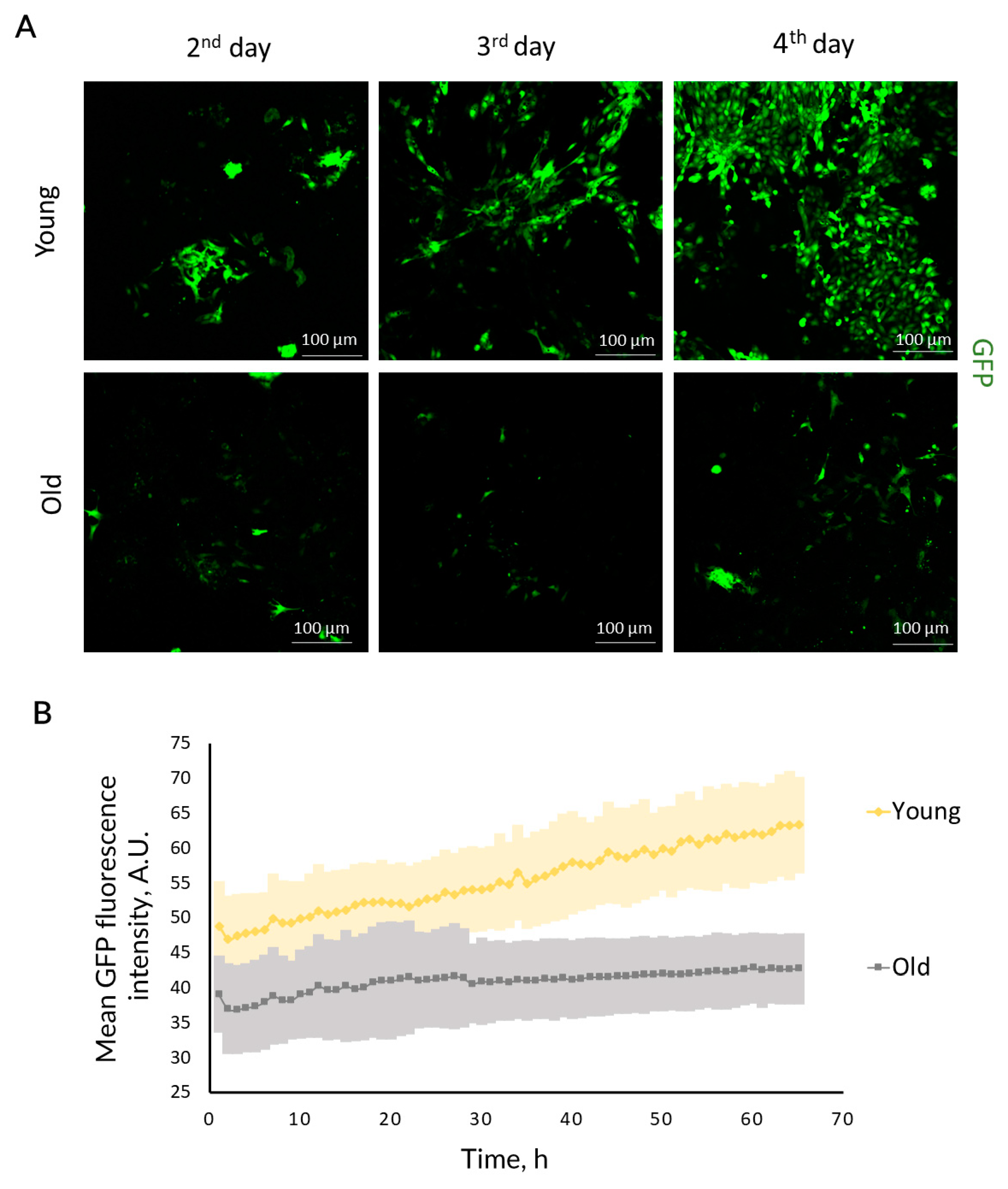 Ijms 23 11015 g003 Ijms 23 11015 g003