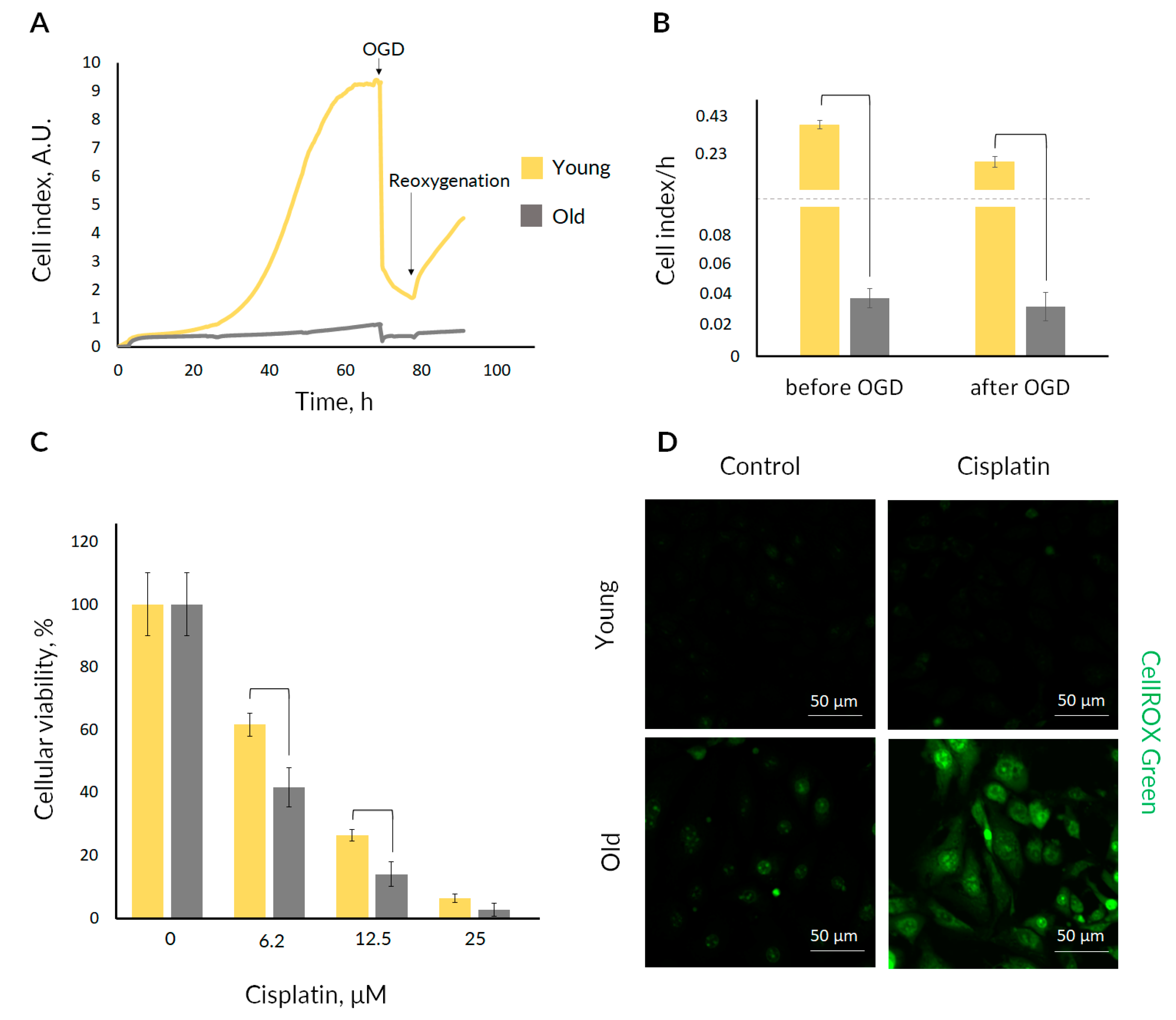 Ijms 23 11015 g004 Ijms 23 11015 g004