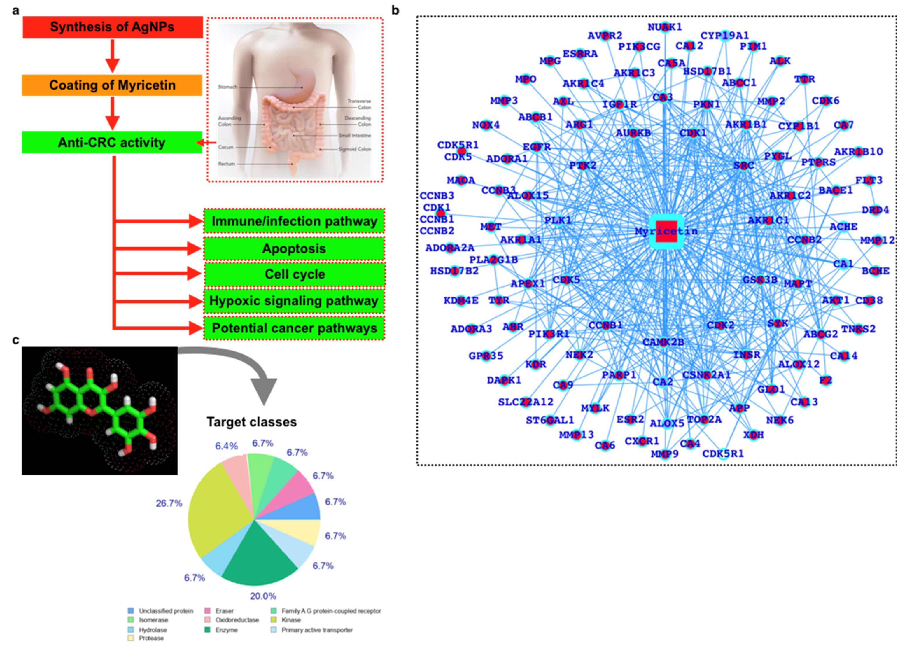 Ijms 23 11024 g001 Ijms 23 11024 g001