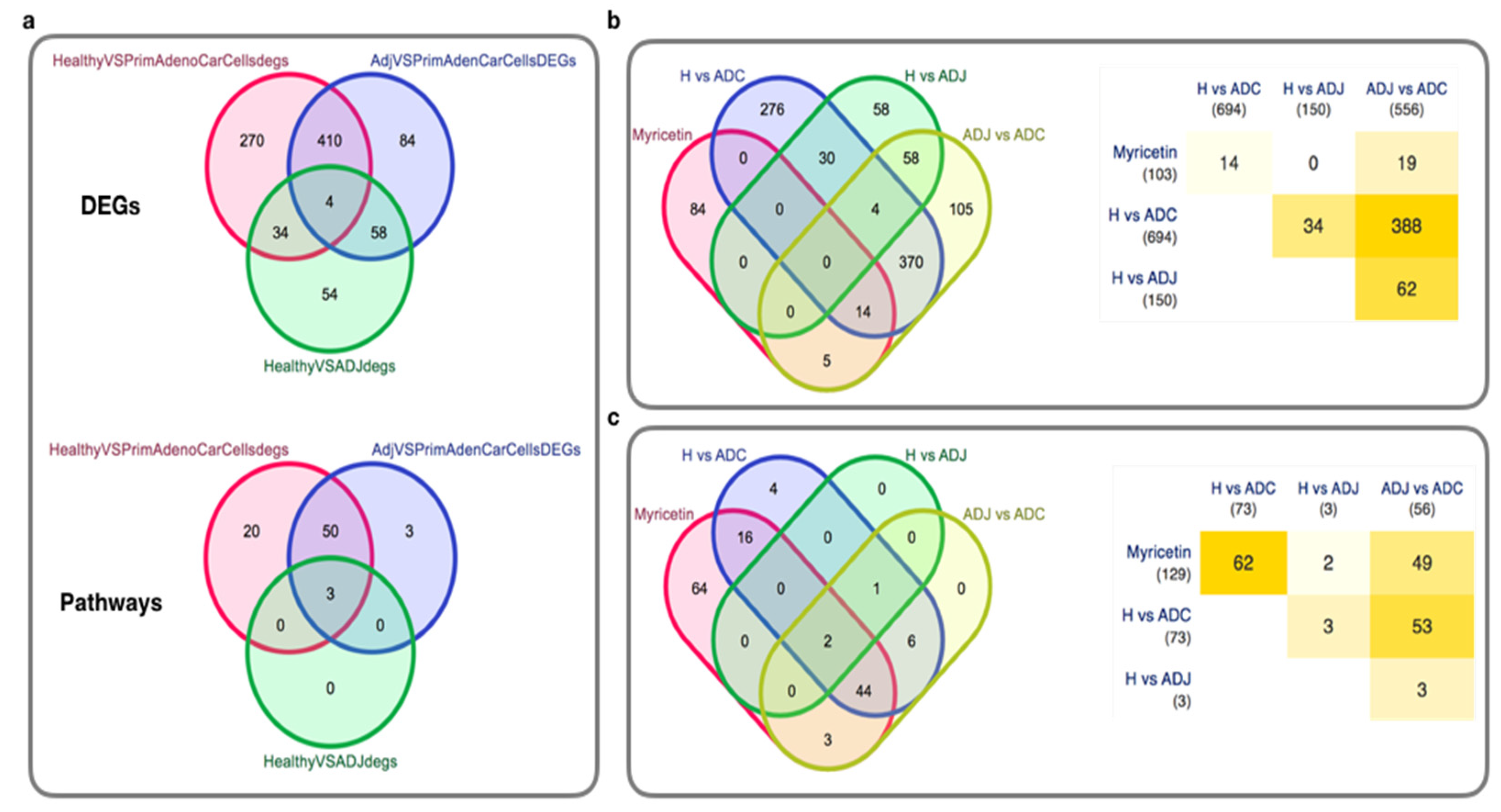 Ijms 23 11024 g006 Ijms 23 11024 g006