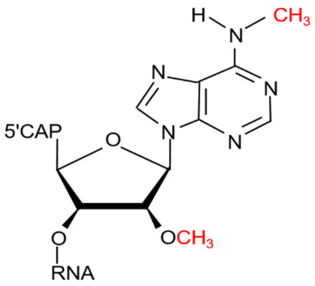 Ijms 23 11026 g001 Ijms 23 11026 g001