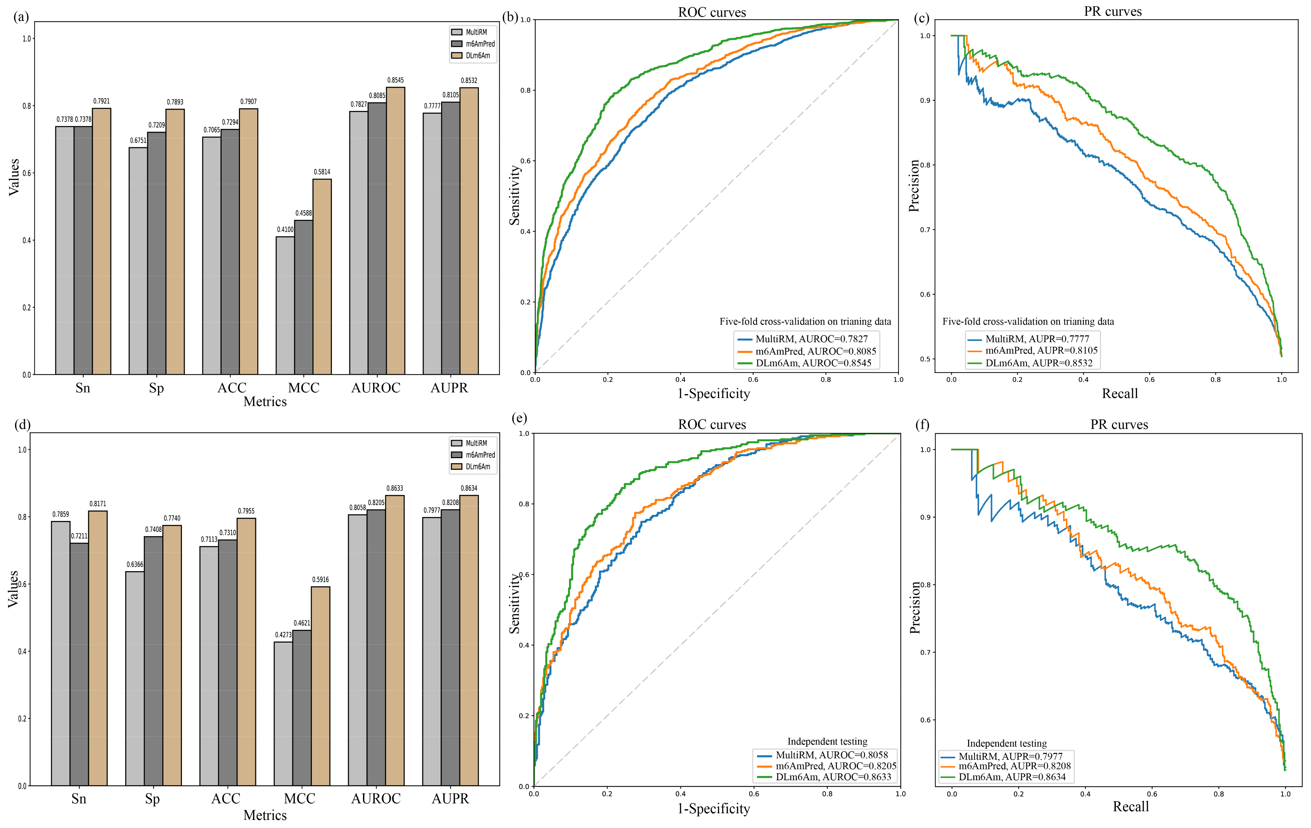 Ijms 23 11026 g005 Ijms 23 11026 g005