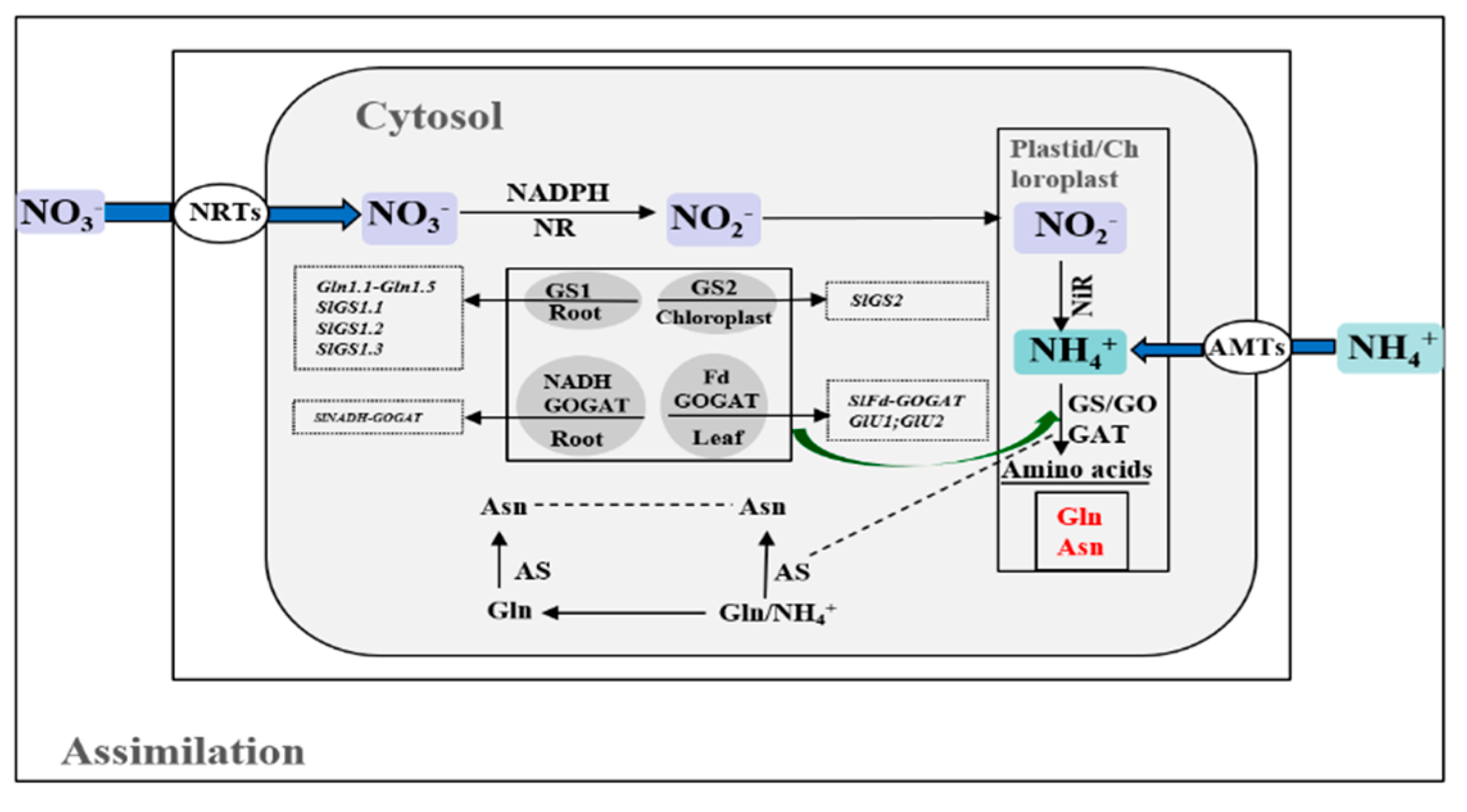 Ijms 23 11027 g005 Ijms 23 11027 g005
