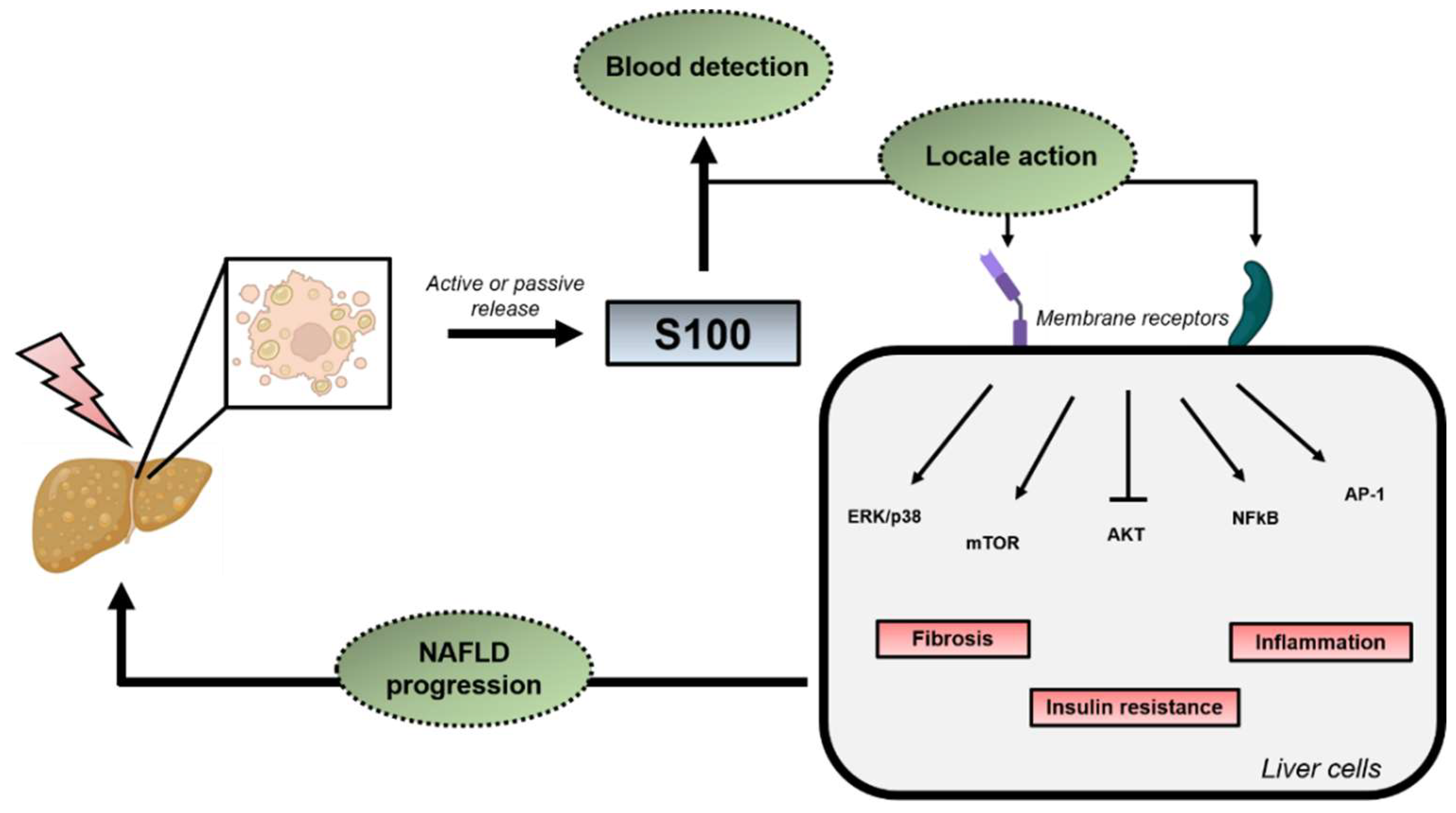 Ijms 23 11030 g004 Ijms 23 11030 g004