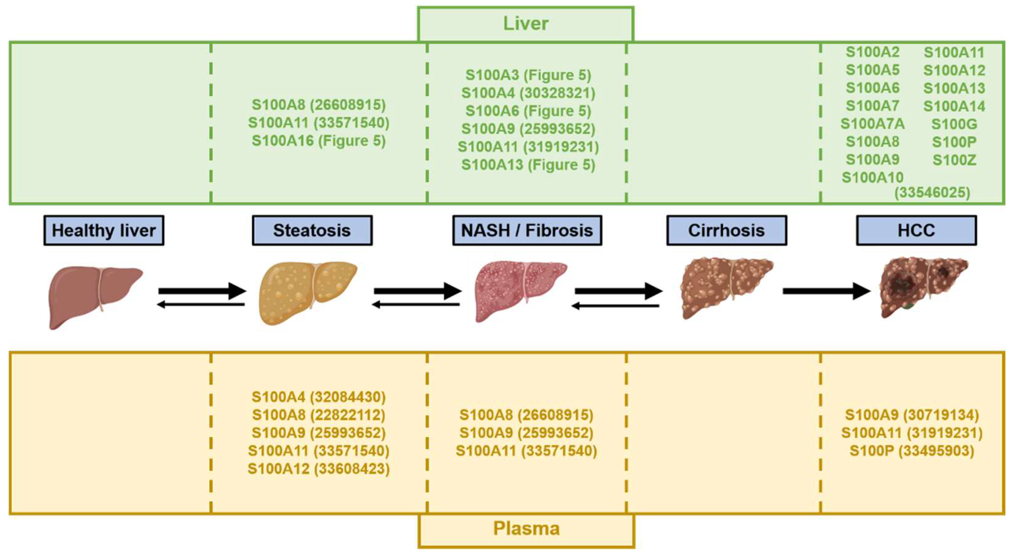 Ijms 23 11030 g006 Ijms 23 11030 g006