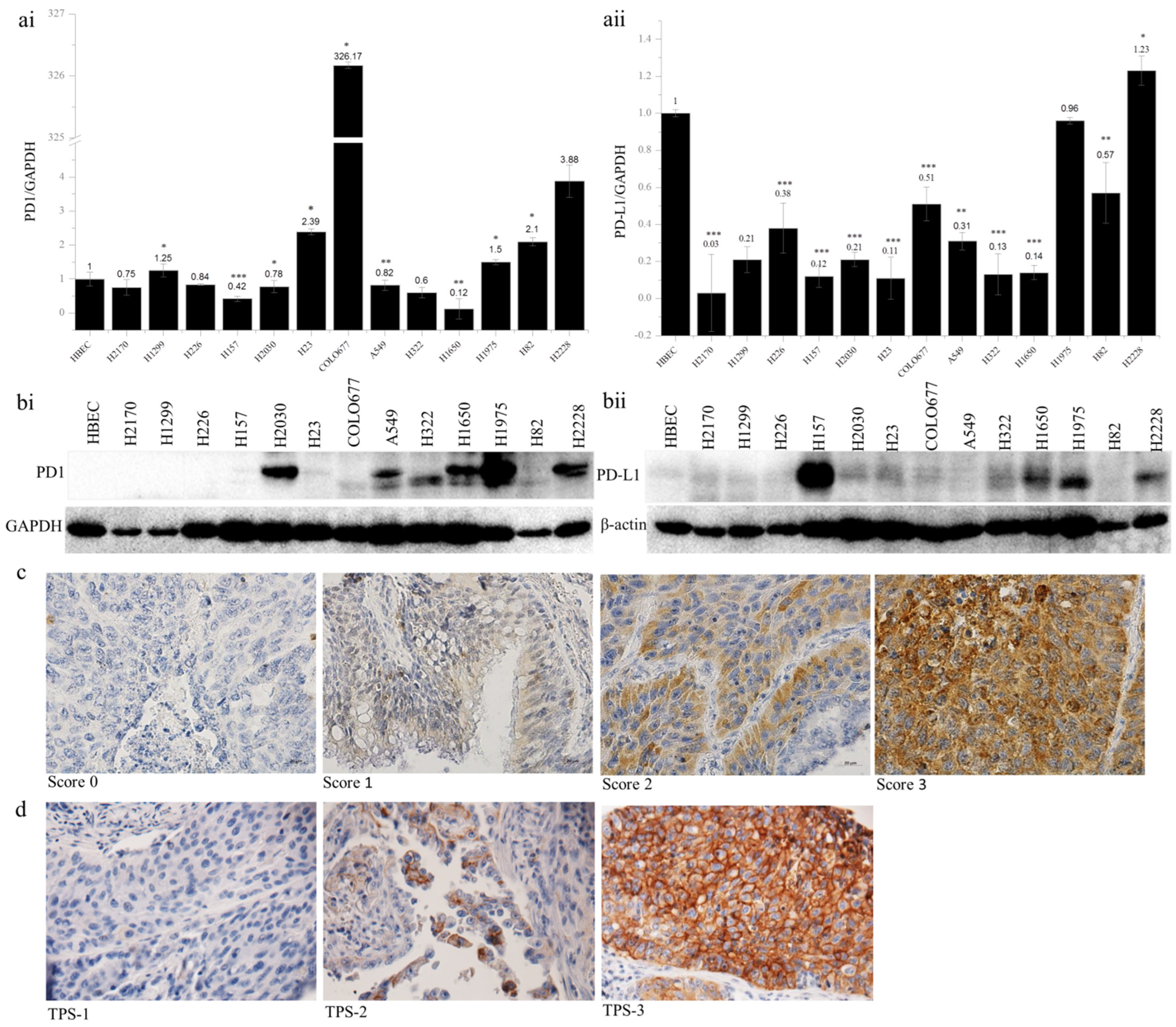 Ijms 23 11031 g001 Ijms 23 11031 g001