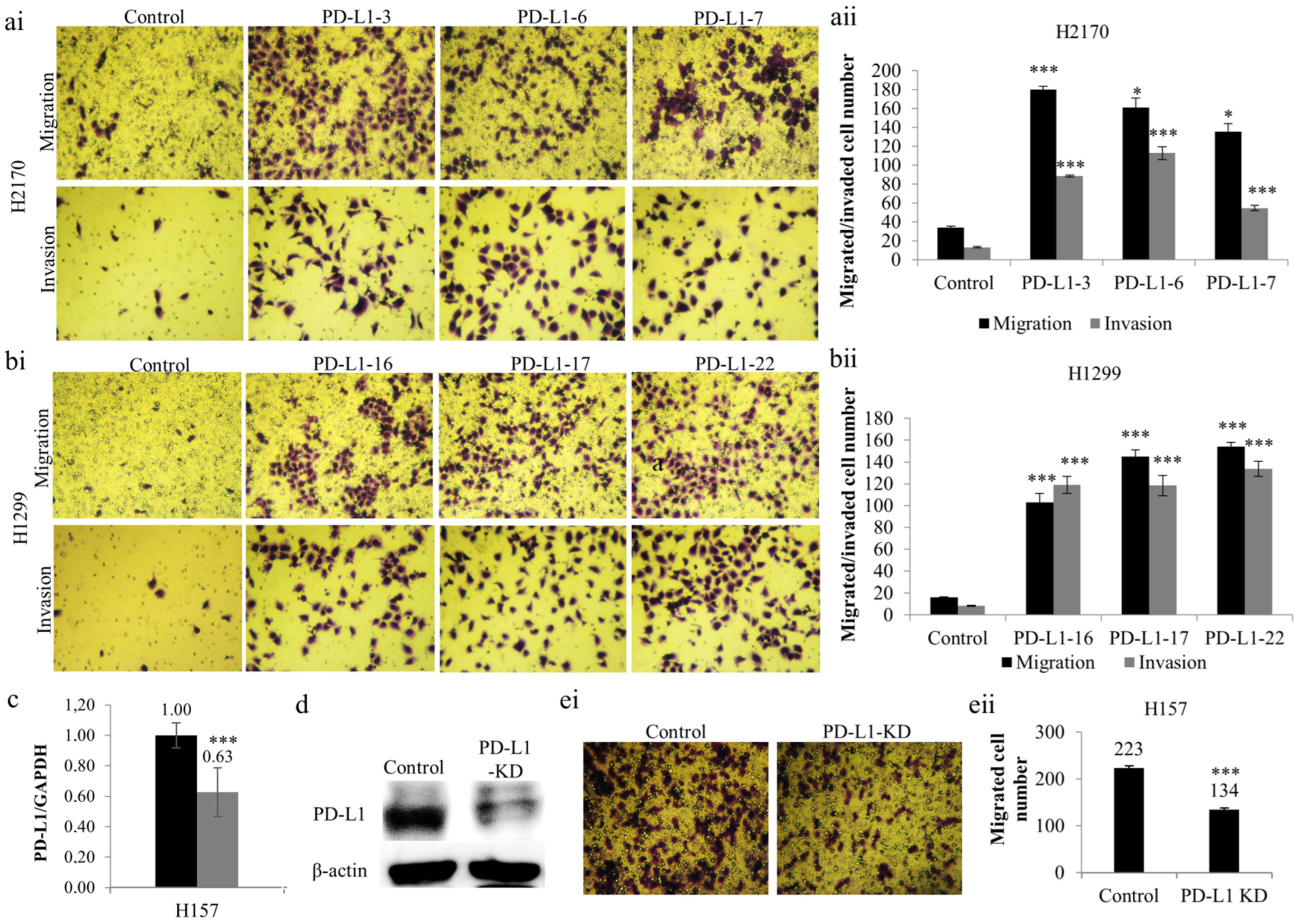 Ijms 23 11031 g003 Ijms 23 11031 g003