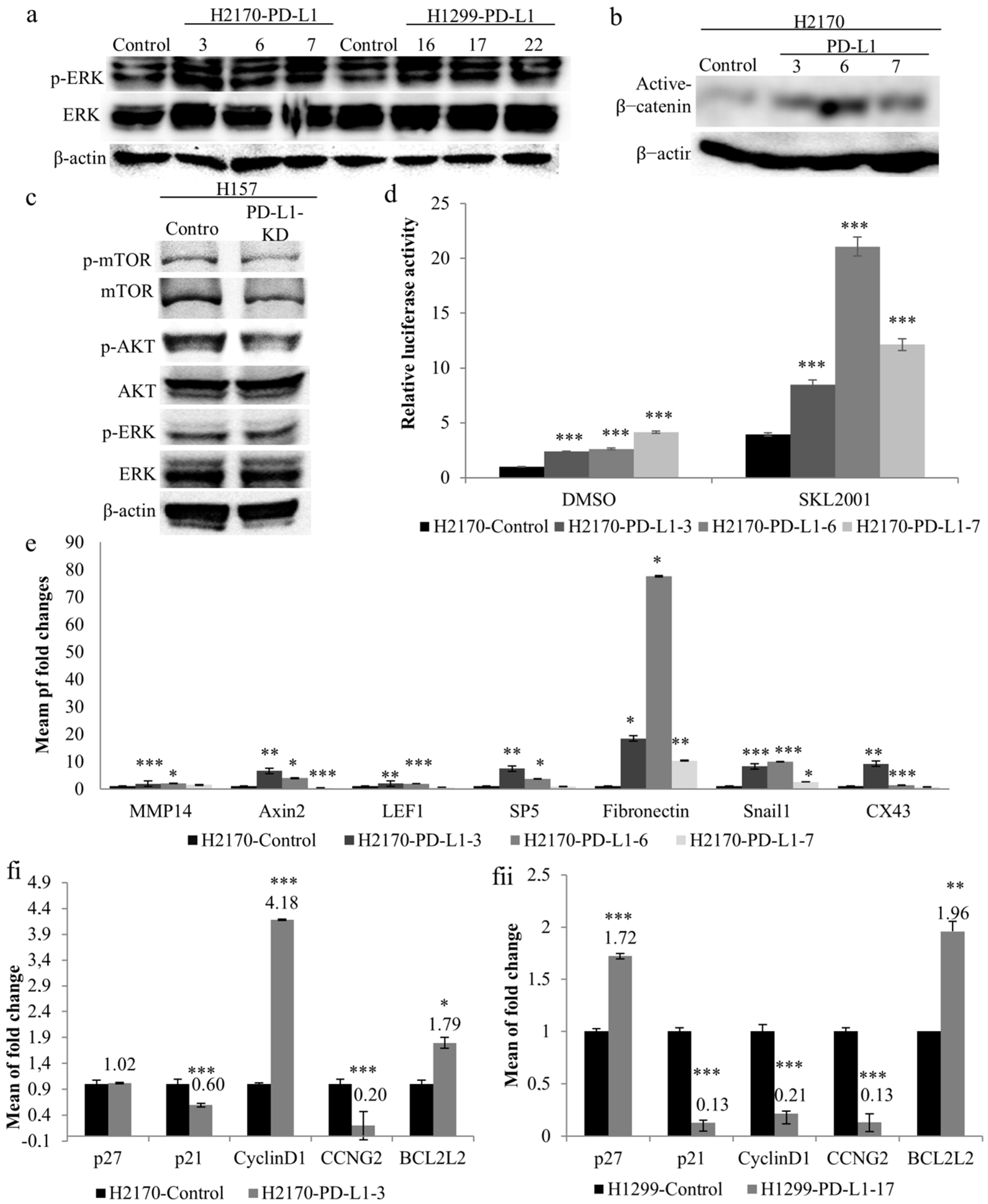 Ijms 23 11031 g004 Ijms 23 11031 g004