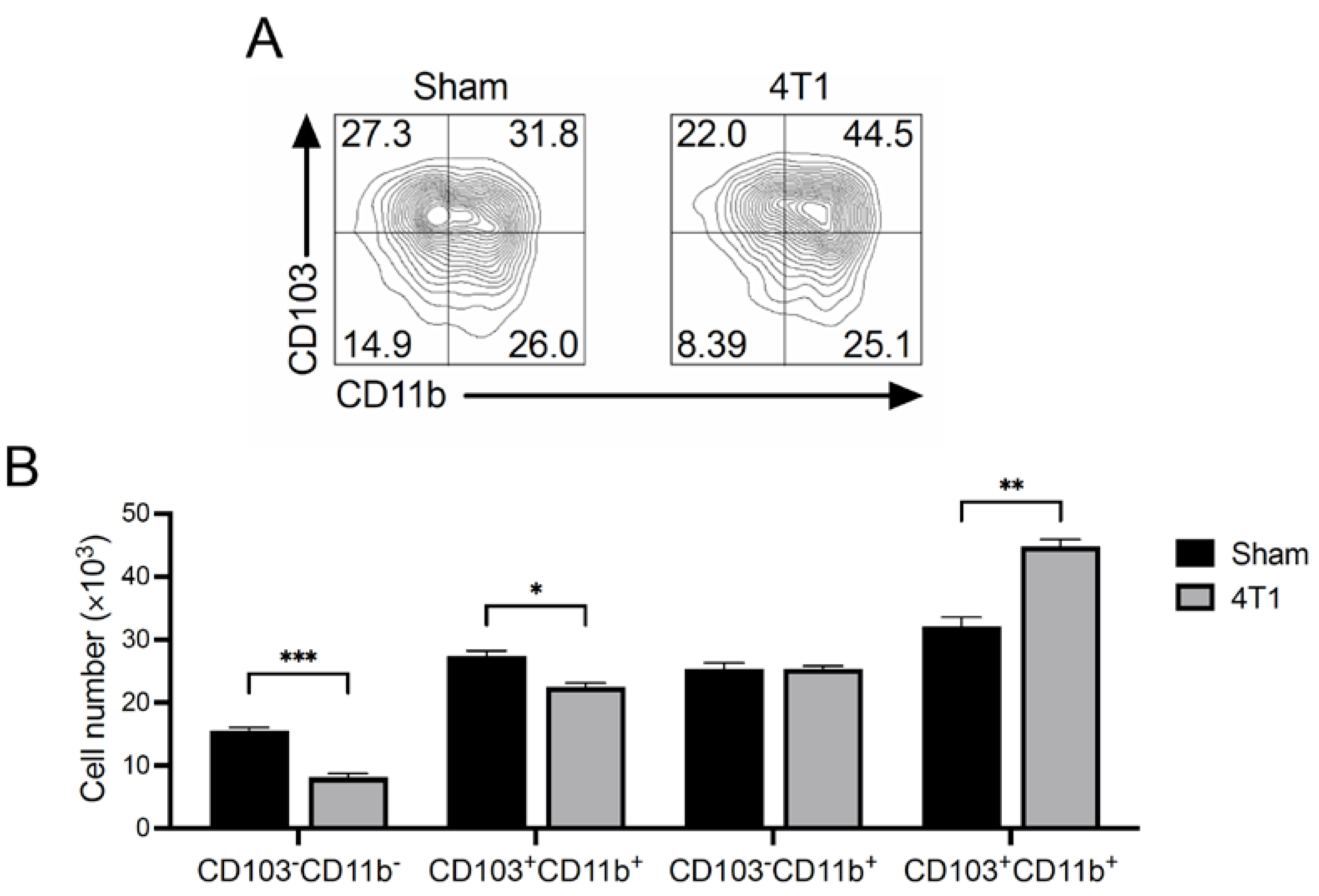 Ijms 23 11035 g005 Ijms 23 11035 g005