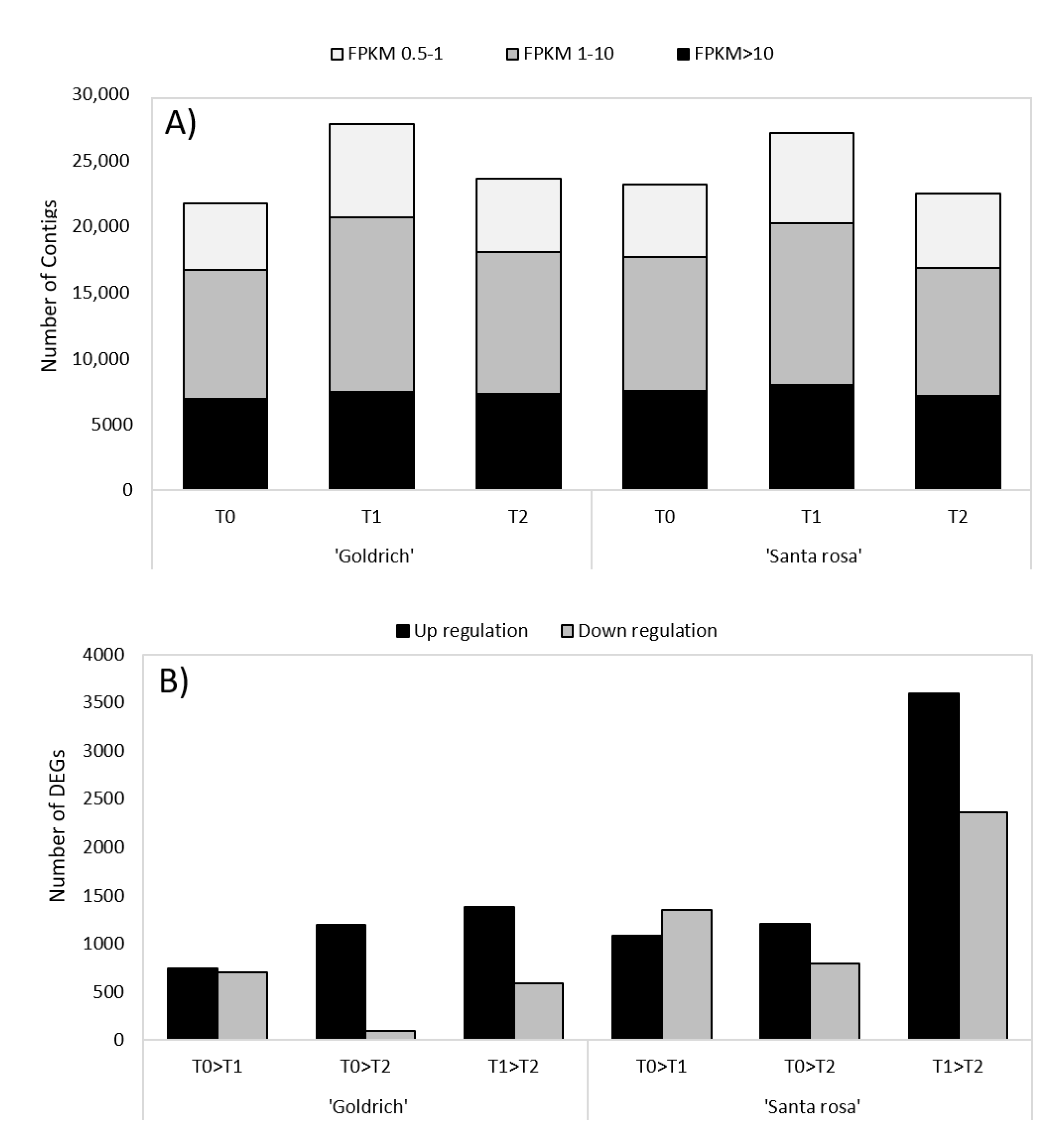 Ijms 23 11045 g003 Ijms 23 11045 g003