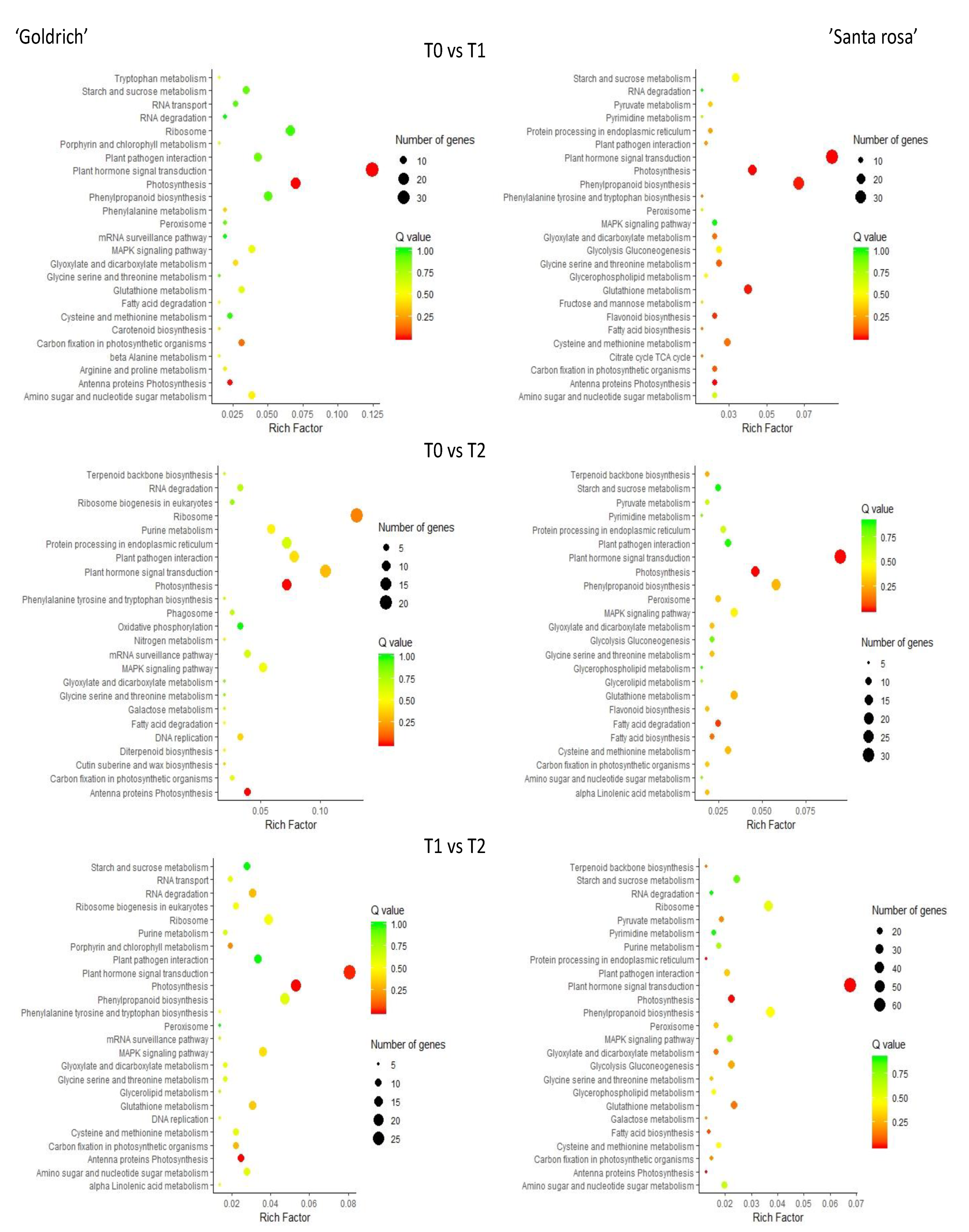 Ijms 23 11045 g004 Ijms 23 11045 g004