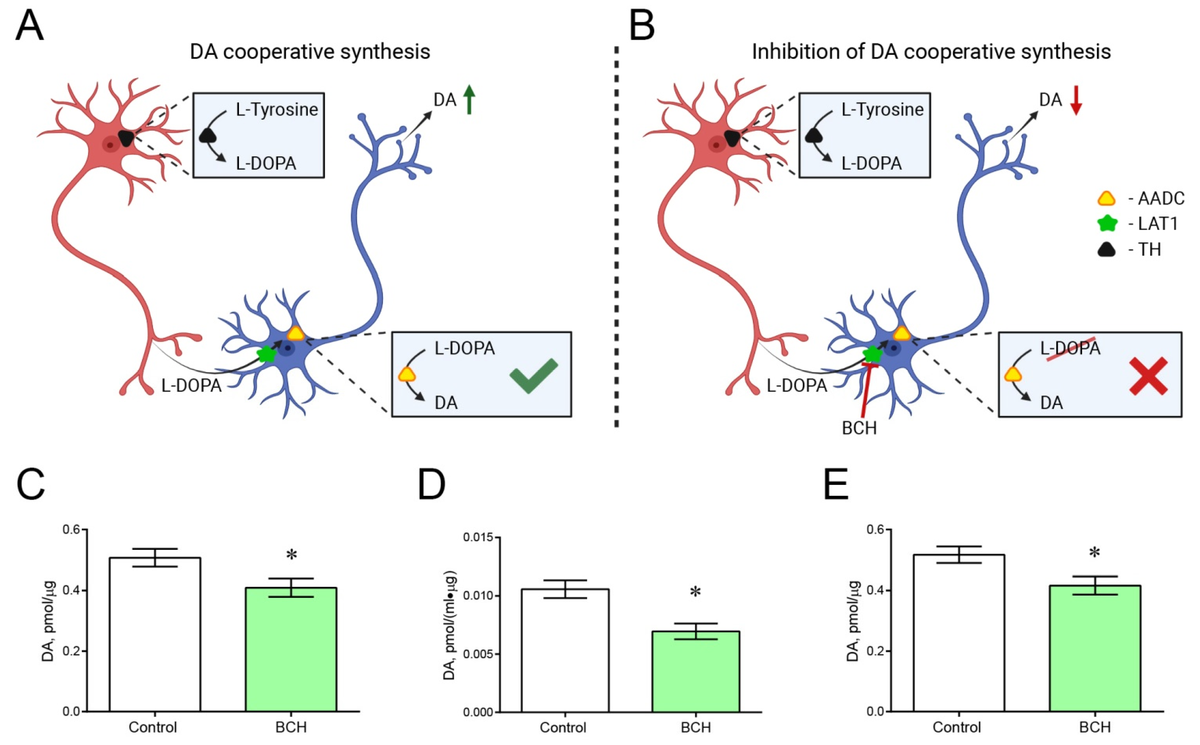 Ijms 23 11054 g007 Ijms 23 11054 g007