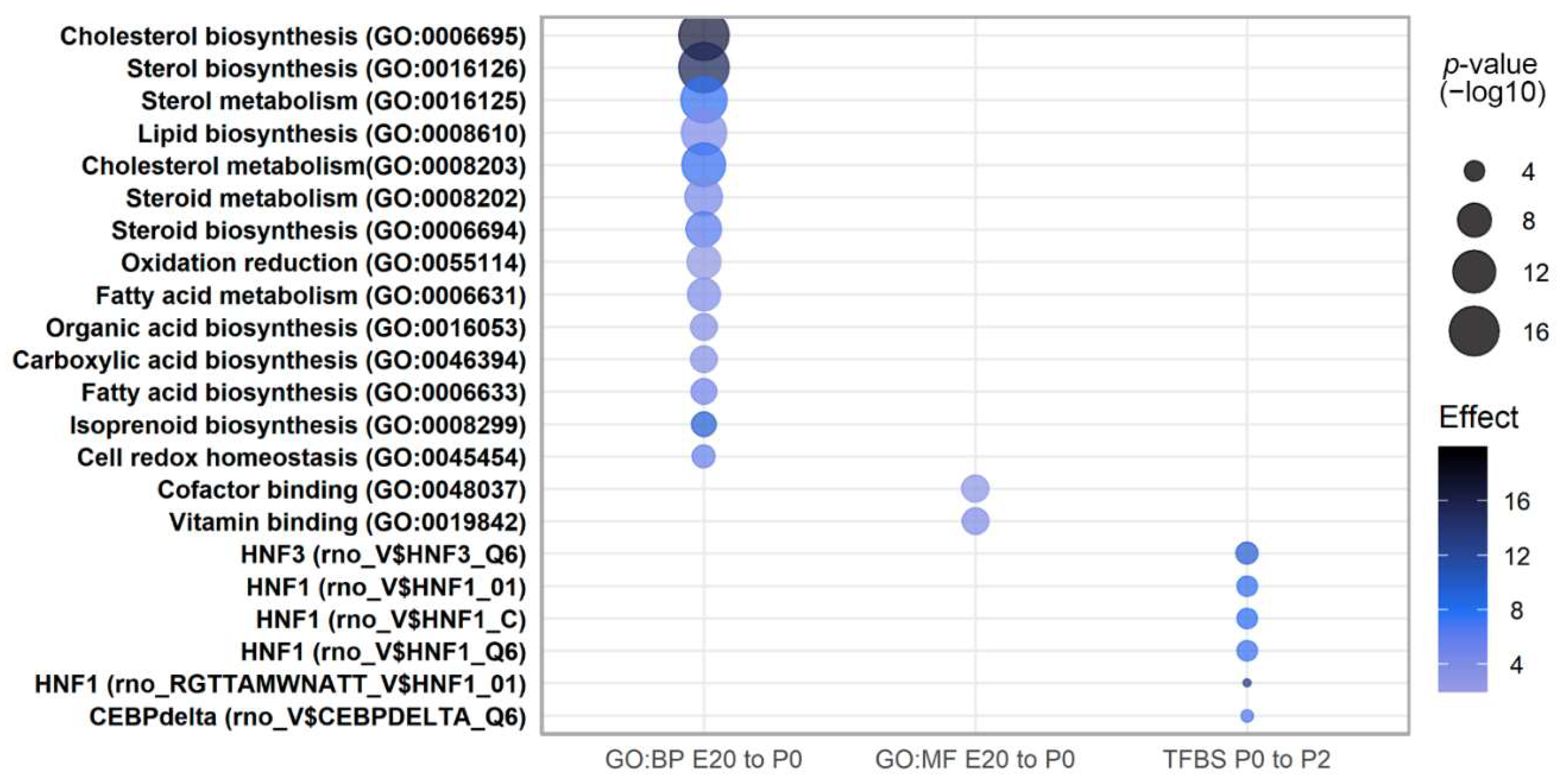 Ijms 23 11057 g005 Ijms 23 11057 g005