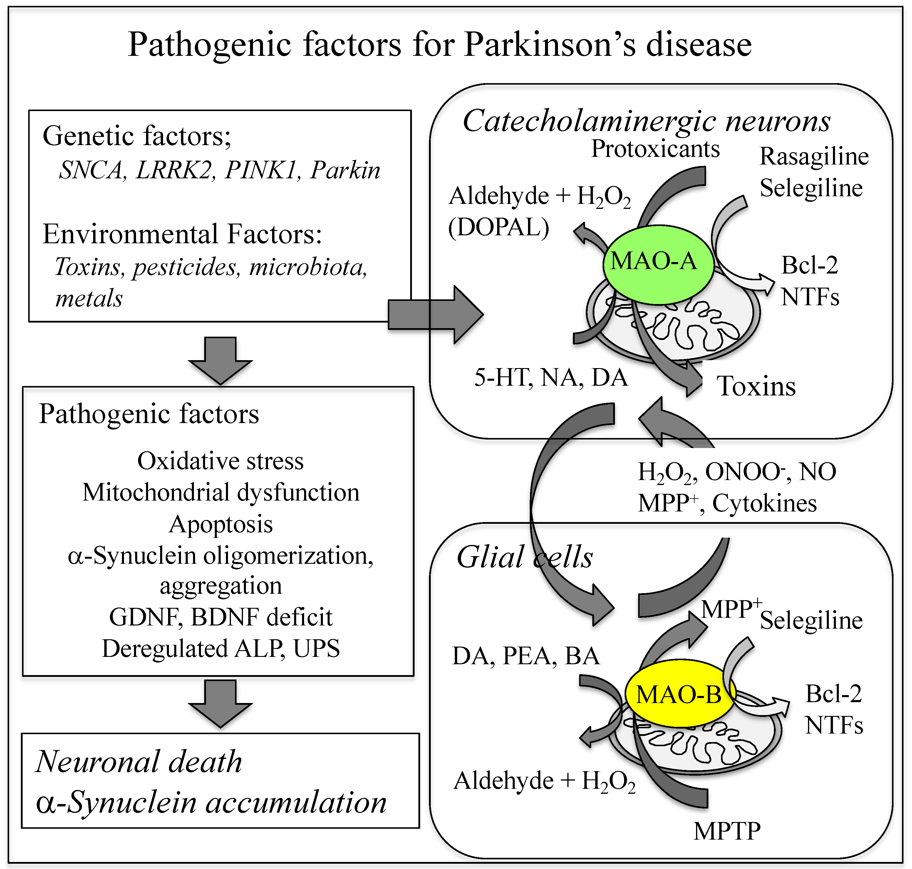 Ijms 23 11059 g001 Ijms 23 11059 g001