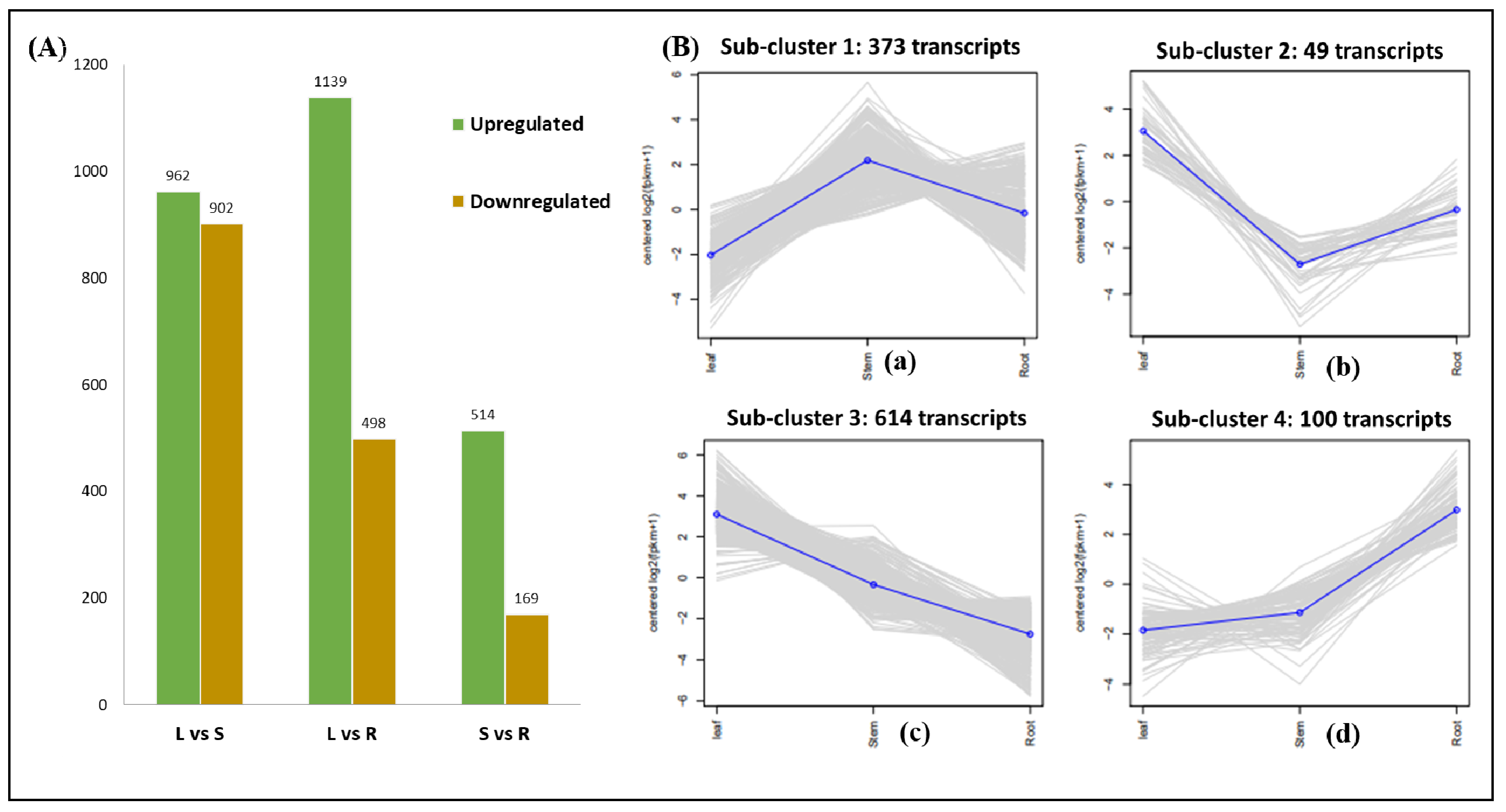 Ijms 23 11064 g002 Ijms 23 11064 g002