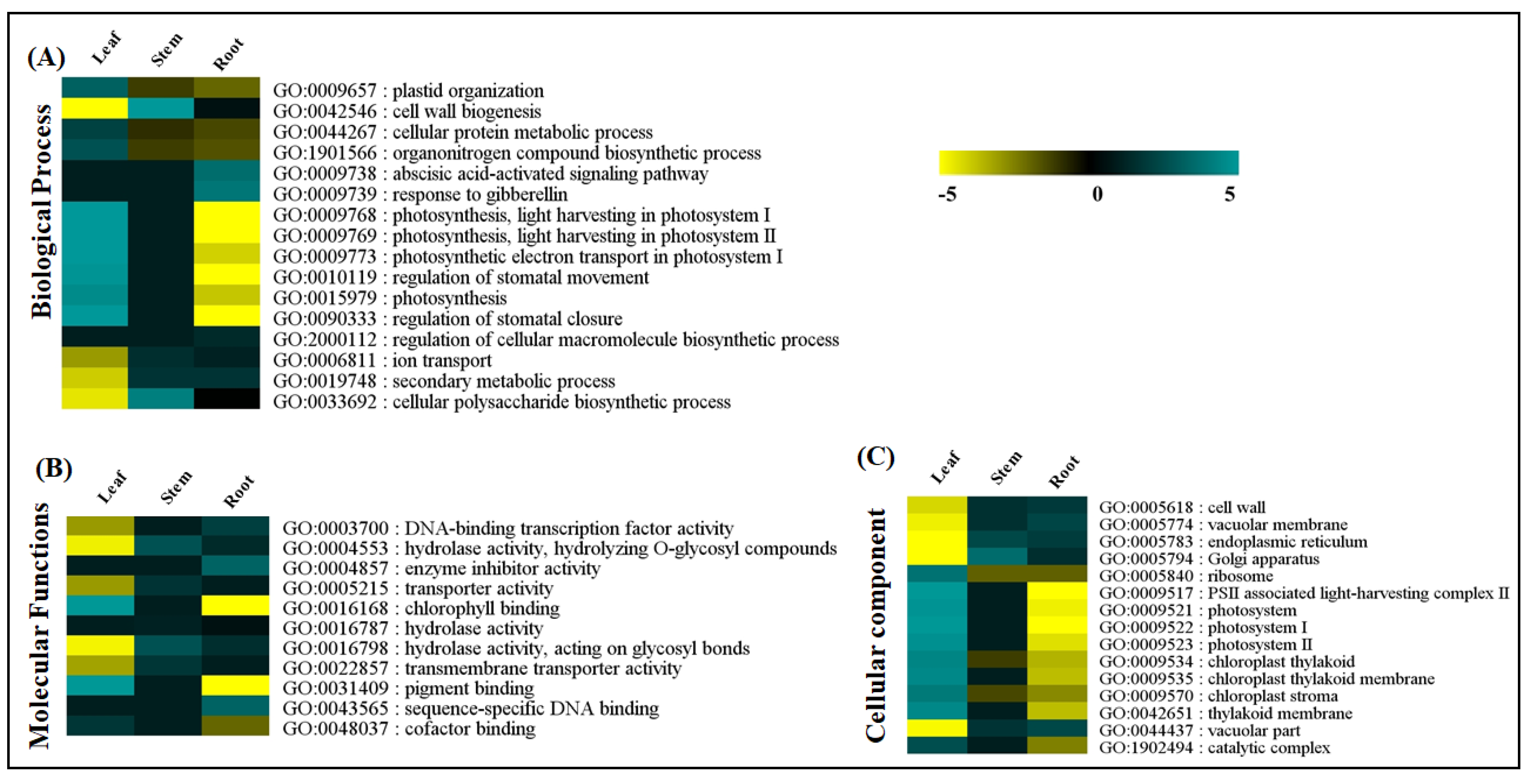 Ijms 23 11064 g003 Ijms 23 11064 g003