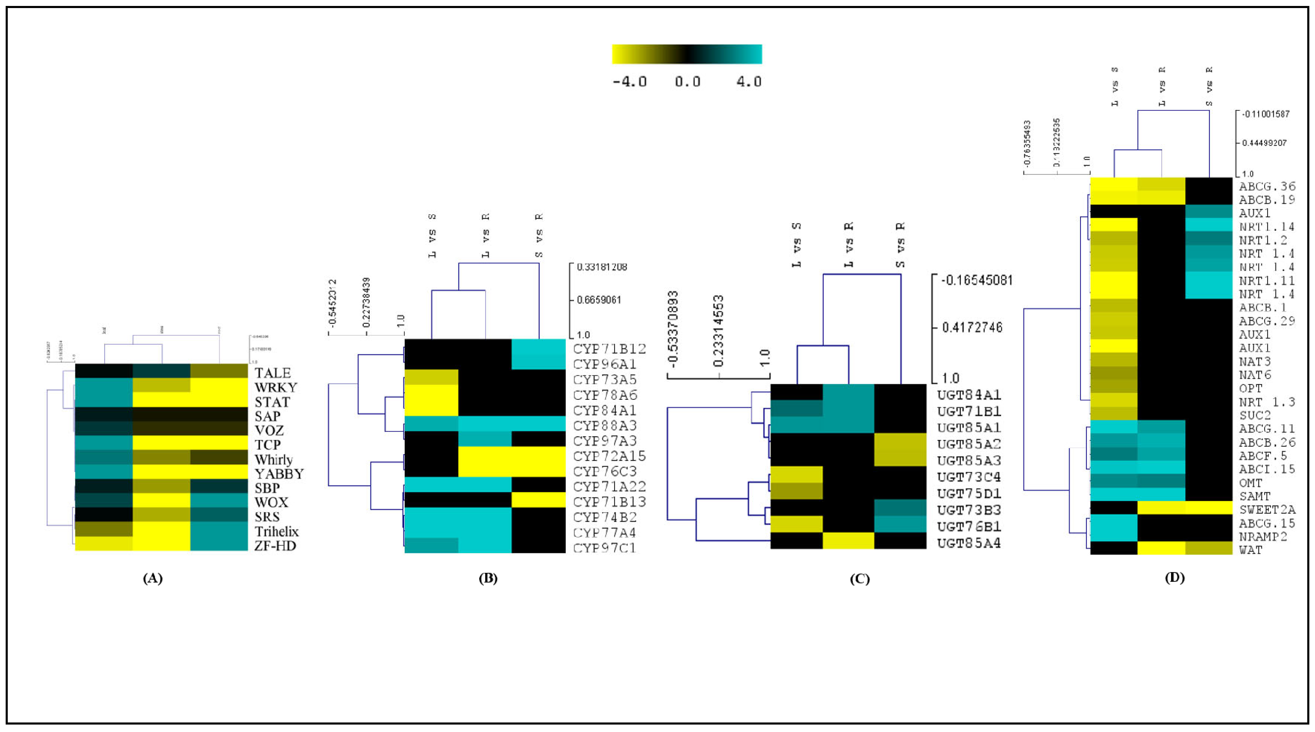 Ijms 23 11064 g008 Ijms 23 11064 g008