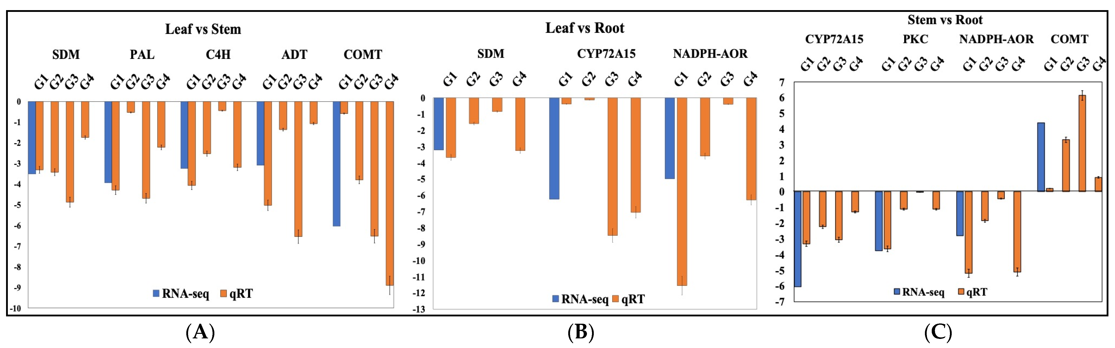 Ijms 23 11064 g010 Ijms 23 11064 g010
